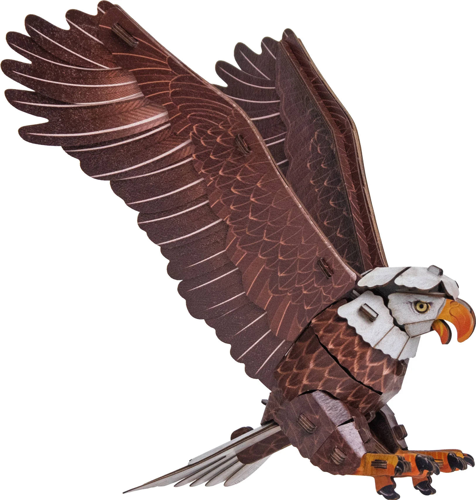 Bald Eagle 3D Bird Puzzle - Image 2