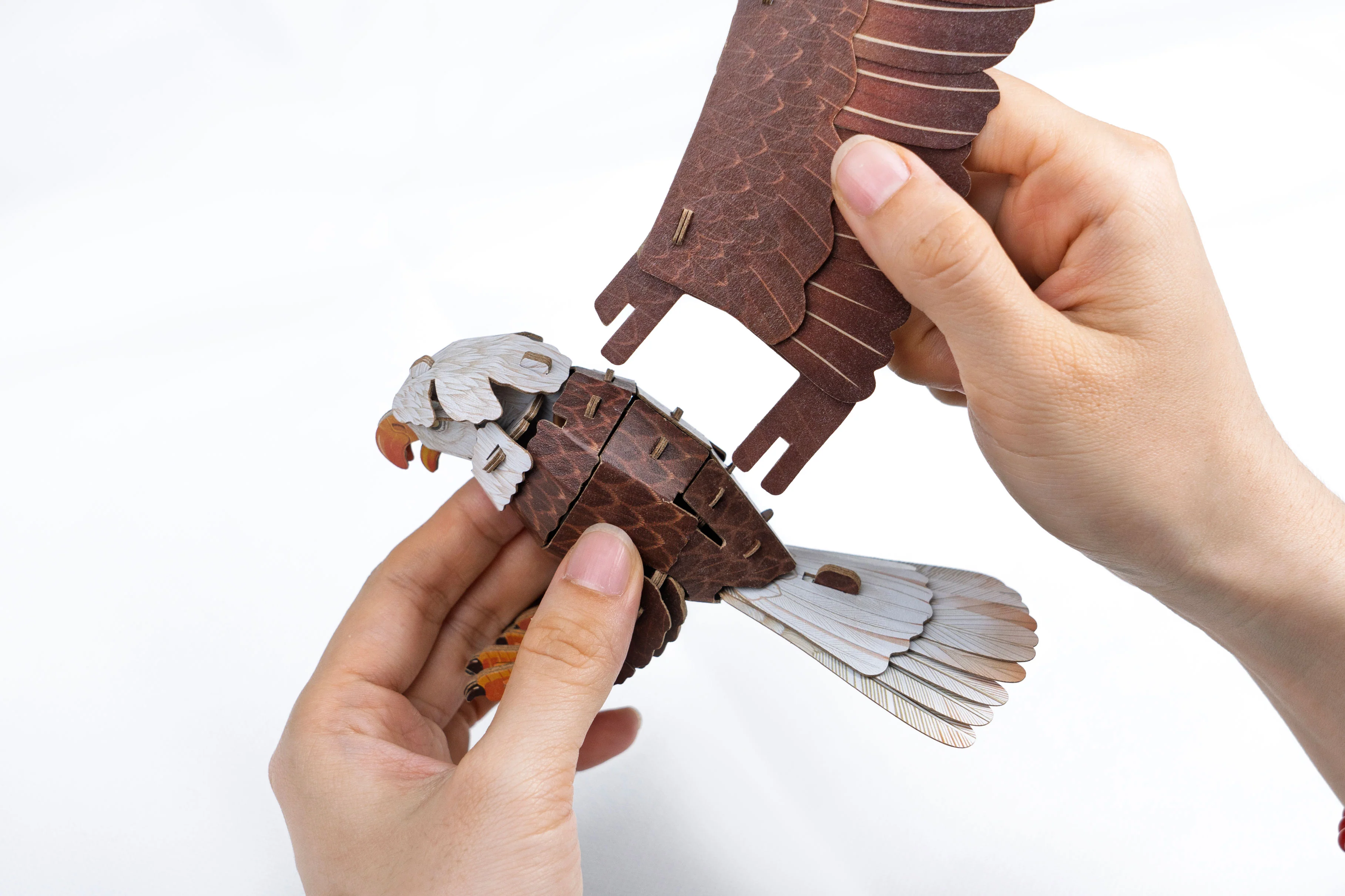 Bald Eagle 3D Bird Puzzle - Image 3