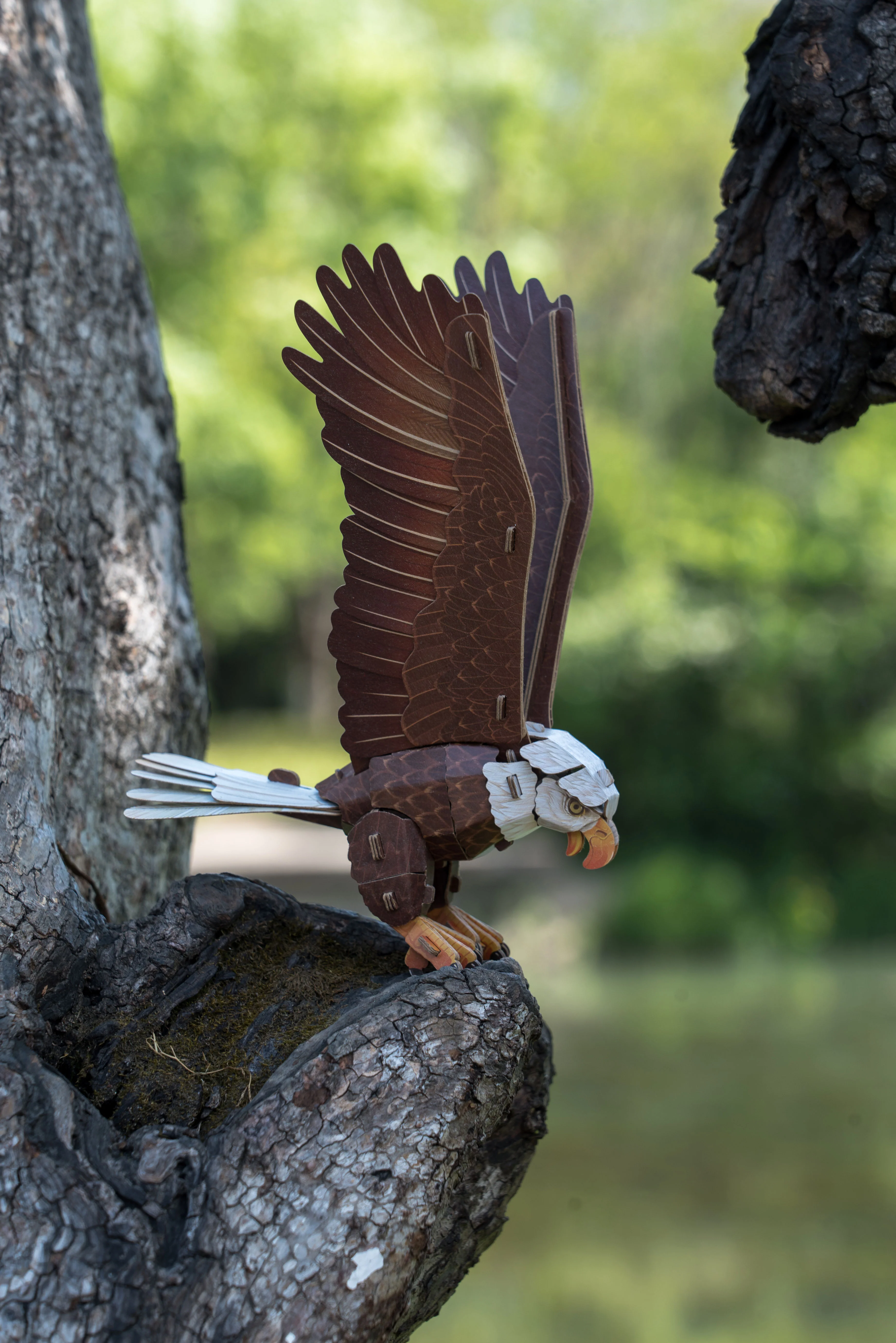 Bald Eagle 3D Bird Puzzle - Image 4