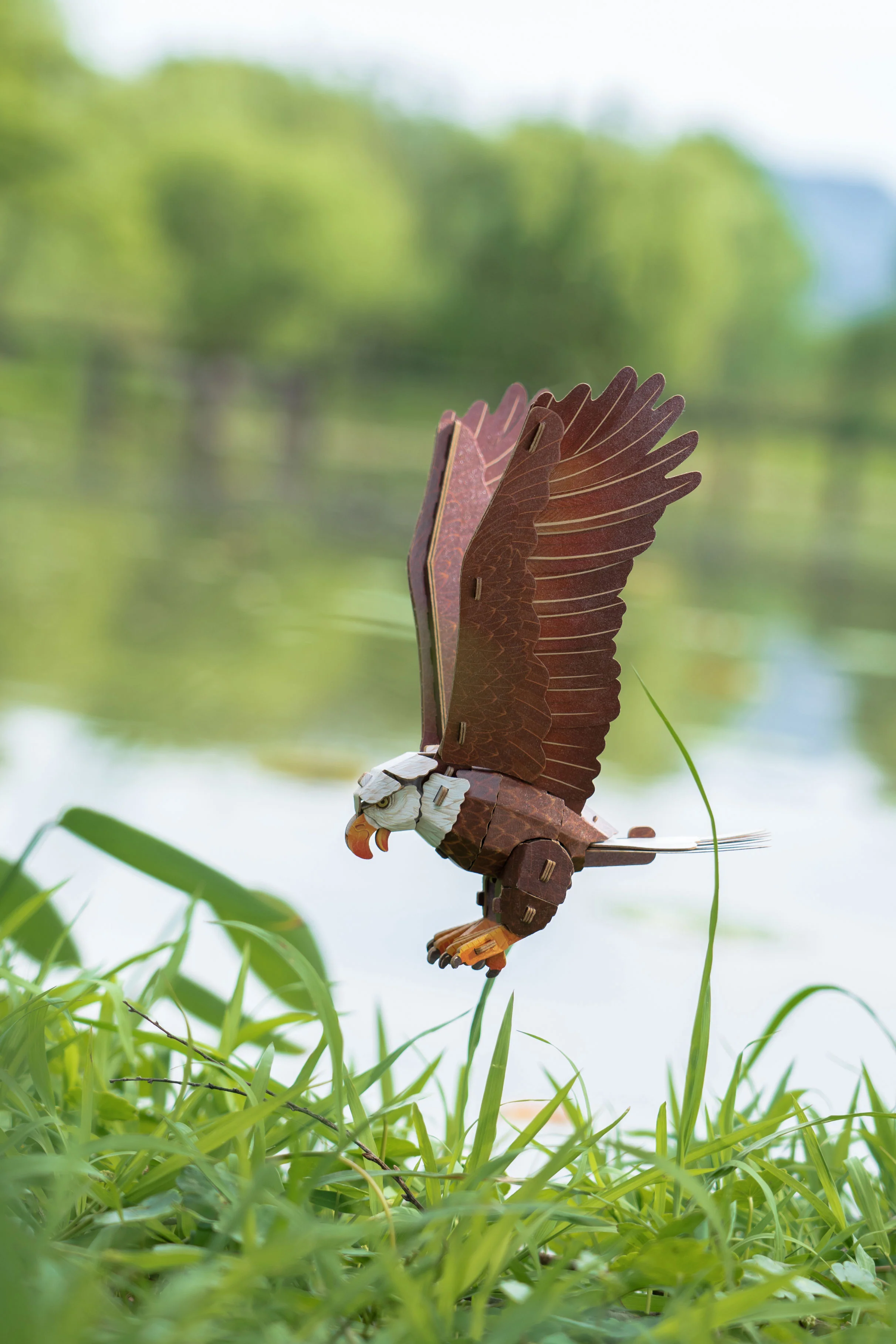 Bald Eagle 3D Bird Puzzle - Image 6