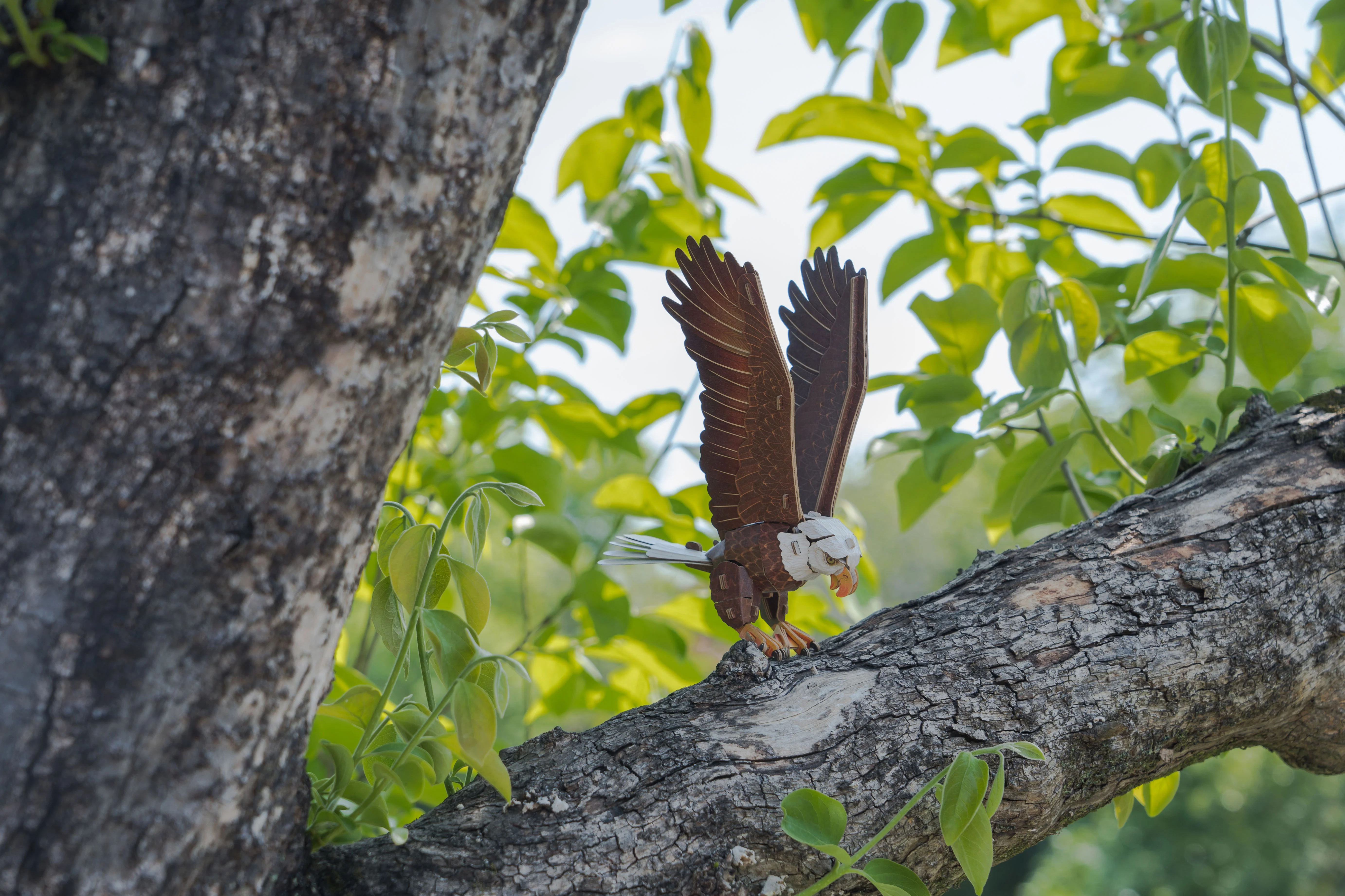 Bald Eagle 3D Bird Puzzle - Image 7