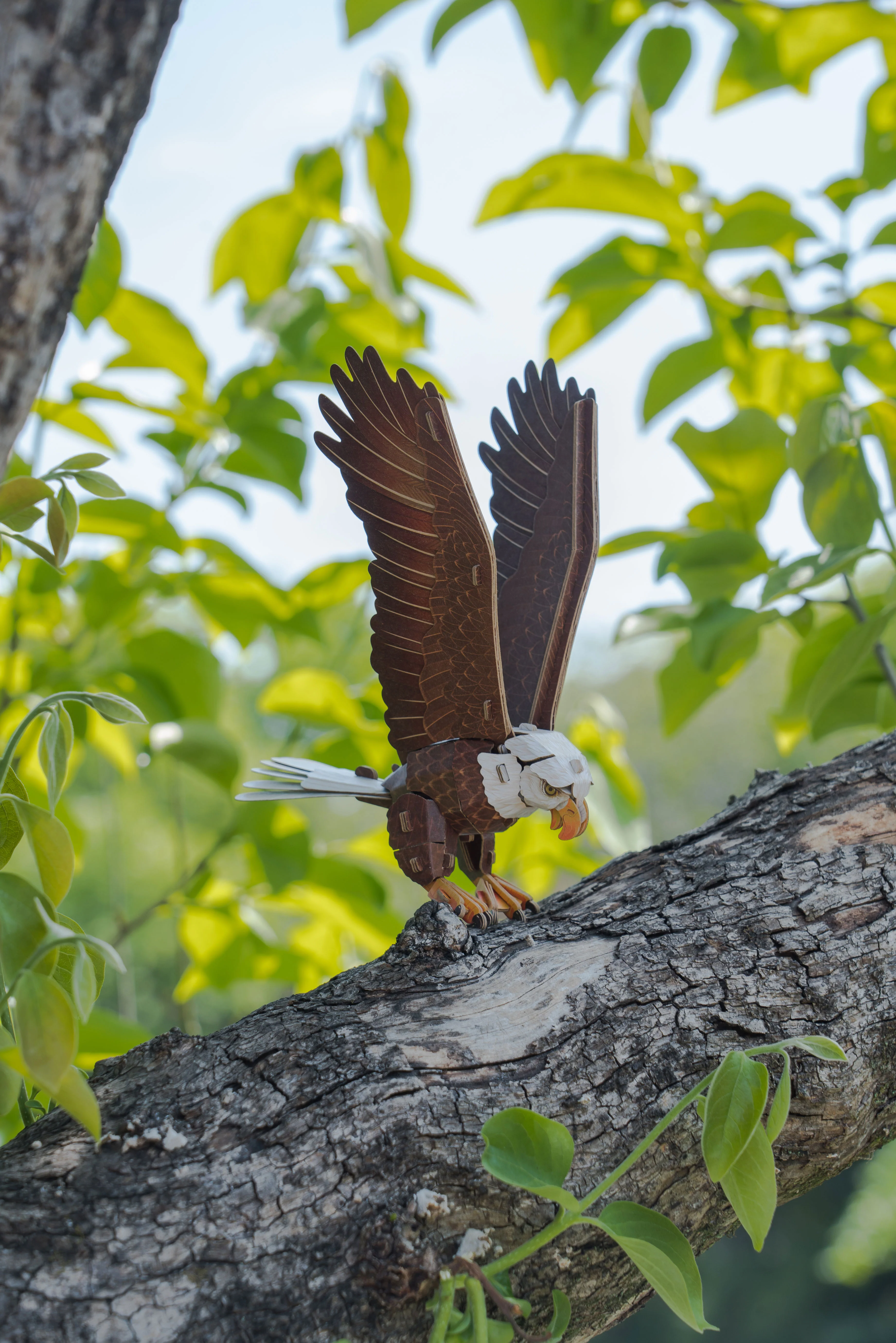Bald Eagle 3D Bird Puzzle - Image 8
