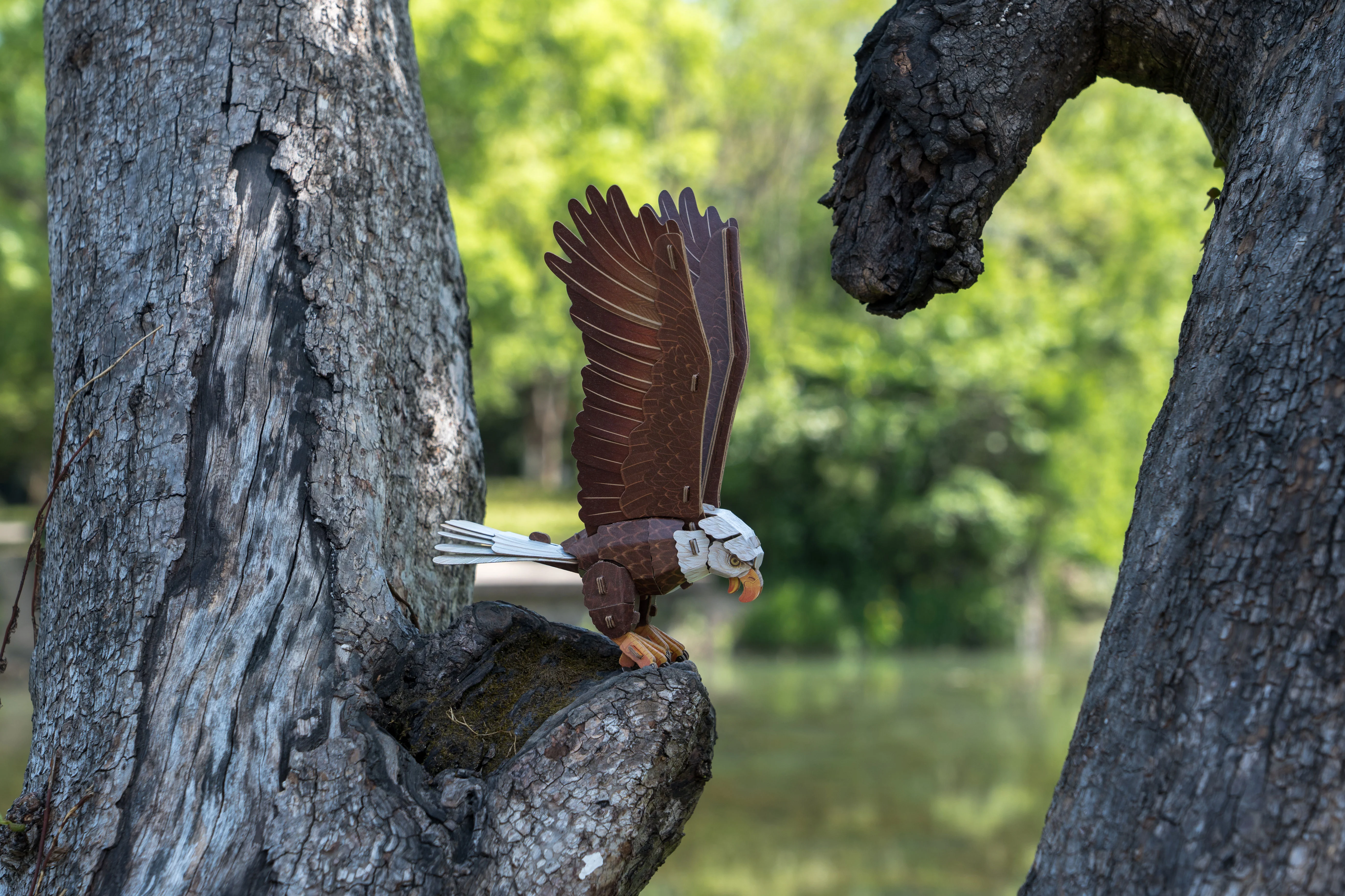 Bald Eagle 3D Bird Puzzle - Image 9