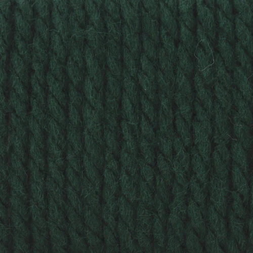 Bernat Softee Chunky Yarn - Image 21