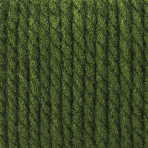 Bernat Softee Chunky Yarn - Image 22