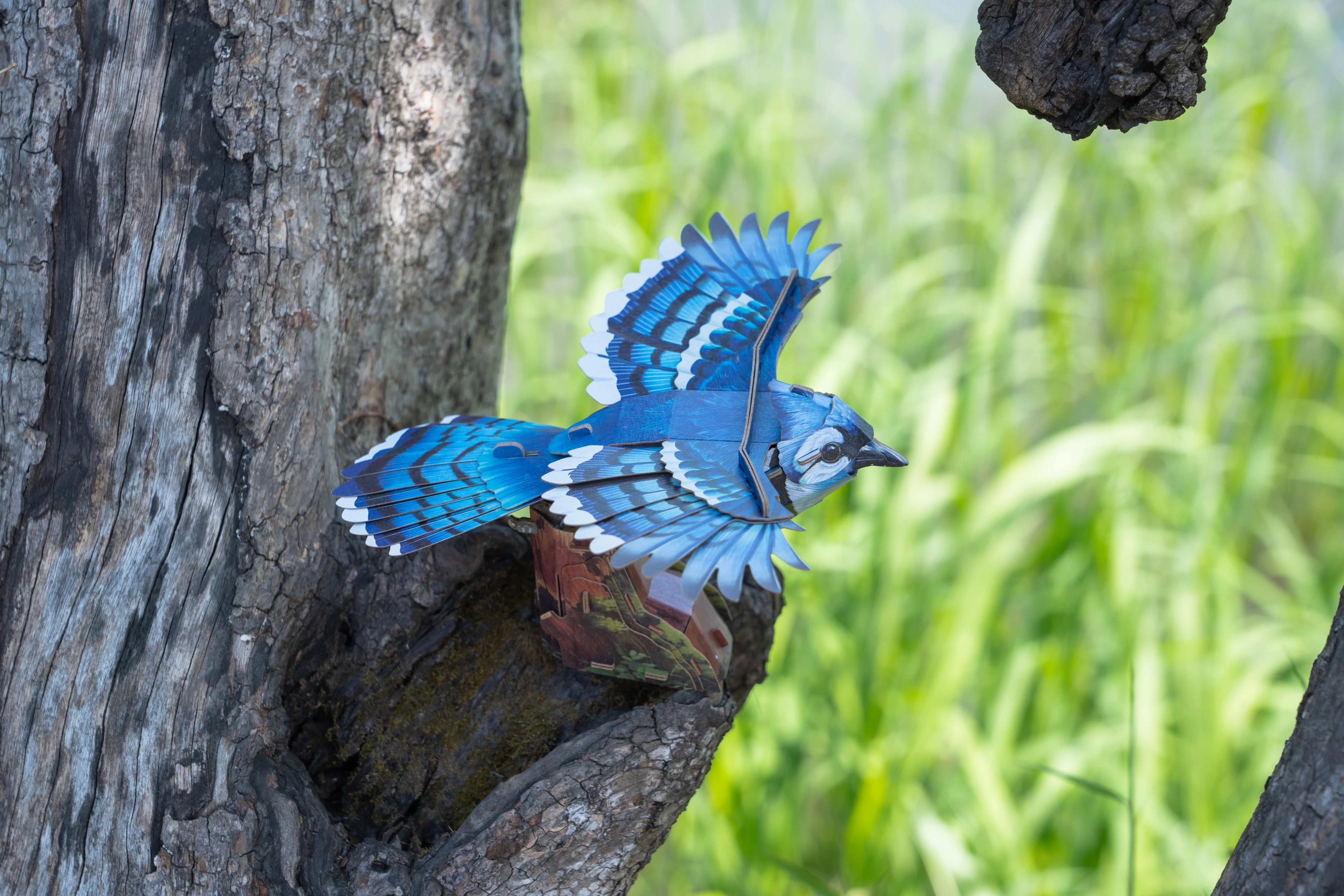 Blue Jay 3D Bird Puzzle - Image 10