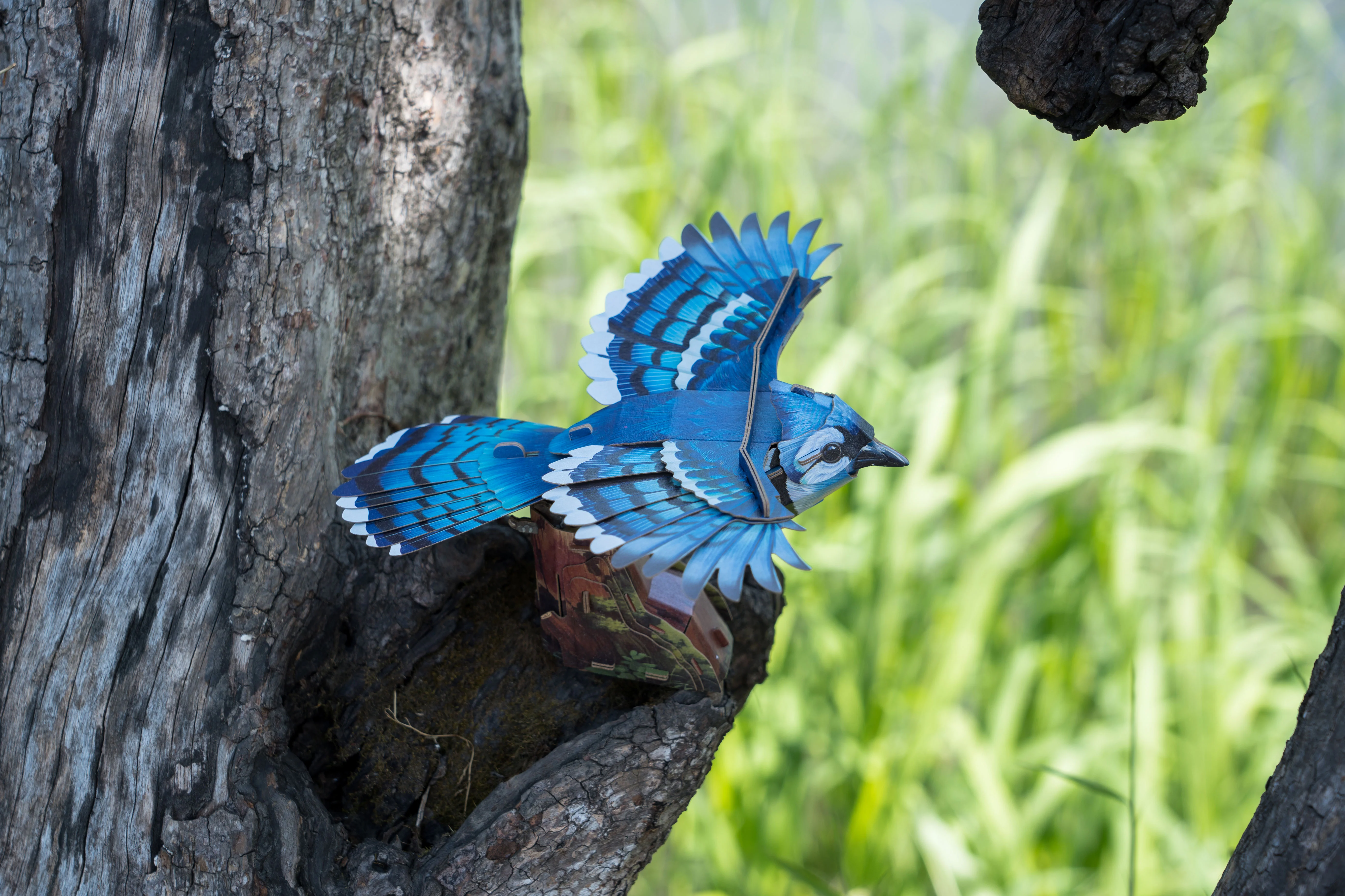 Blue Jay 3D Bird Puzzle - Image 11