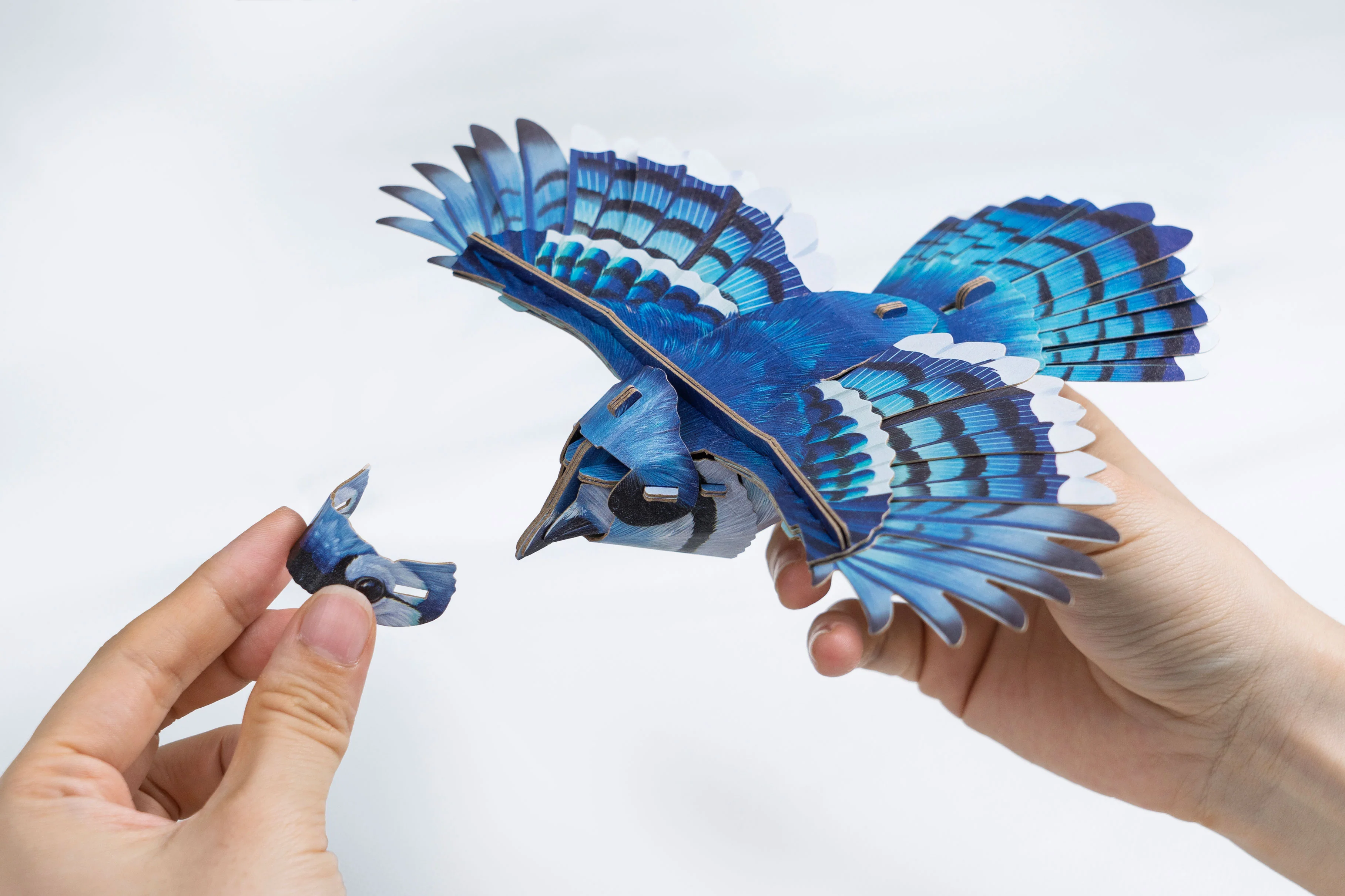 Blue Jay 3D Bird Puzzle - Image 3