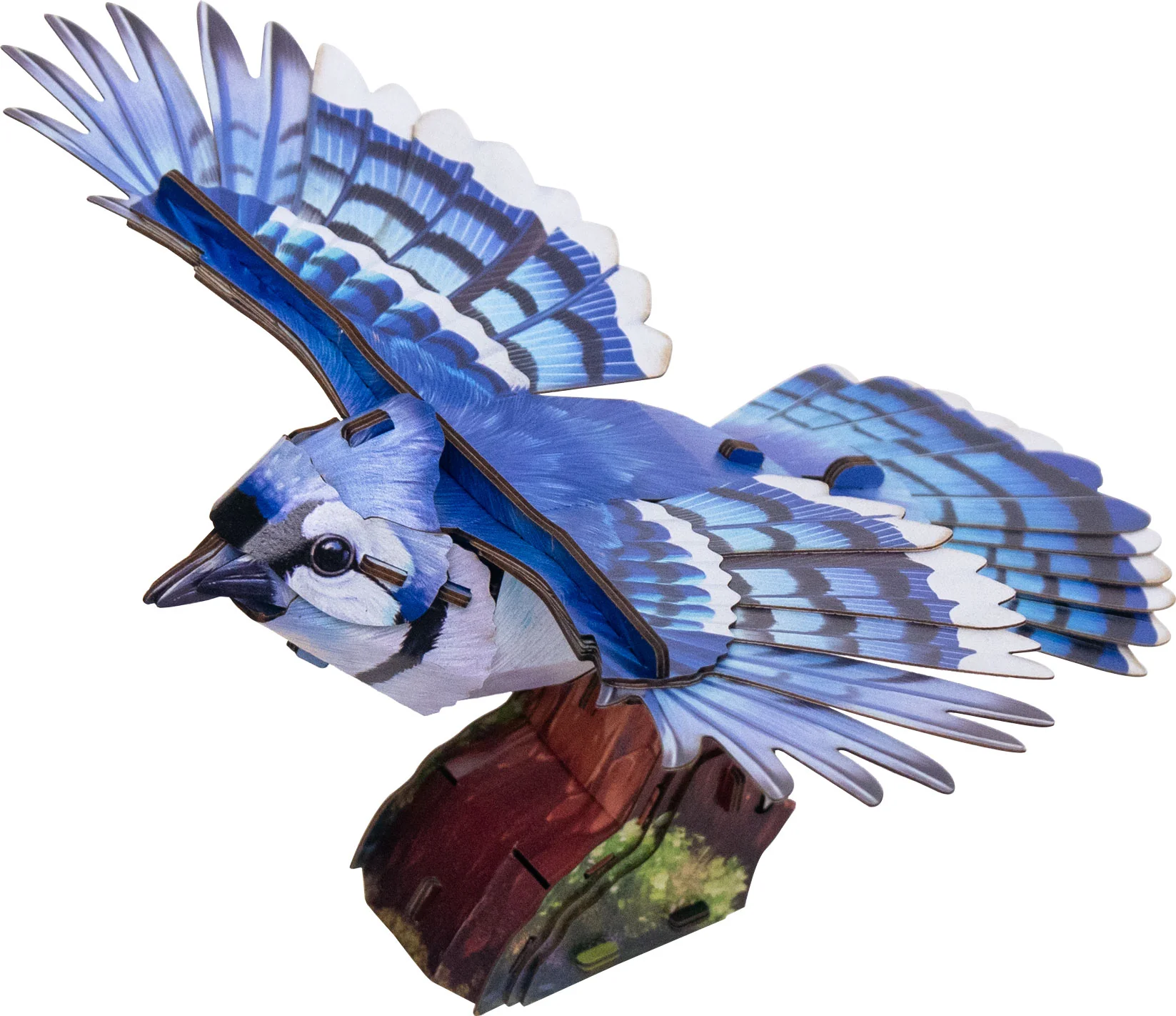 Blue Jay 3D Bird Puzzle - Image 4