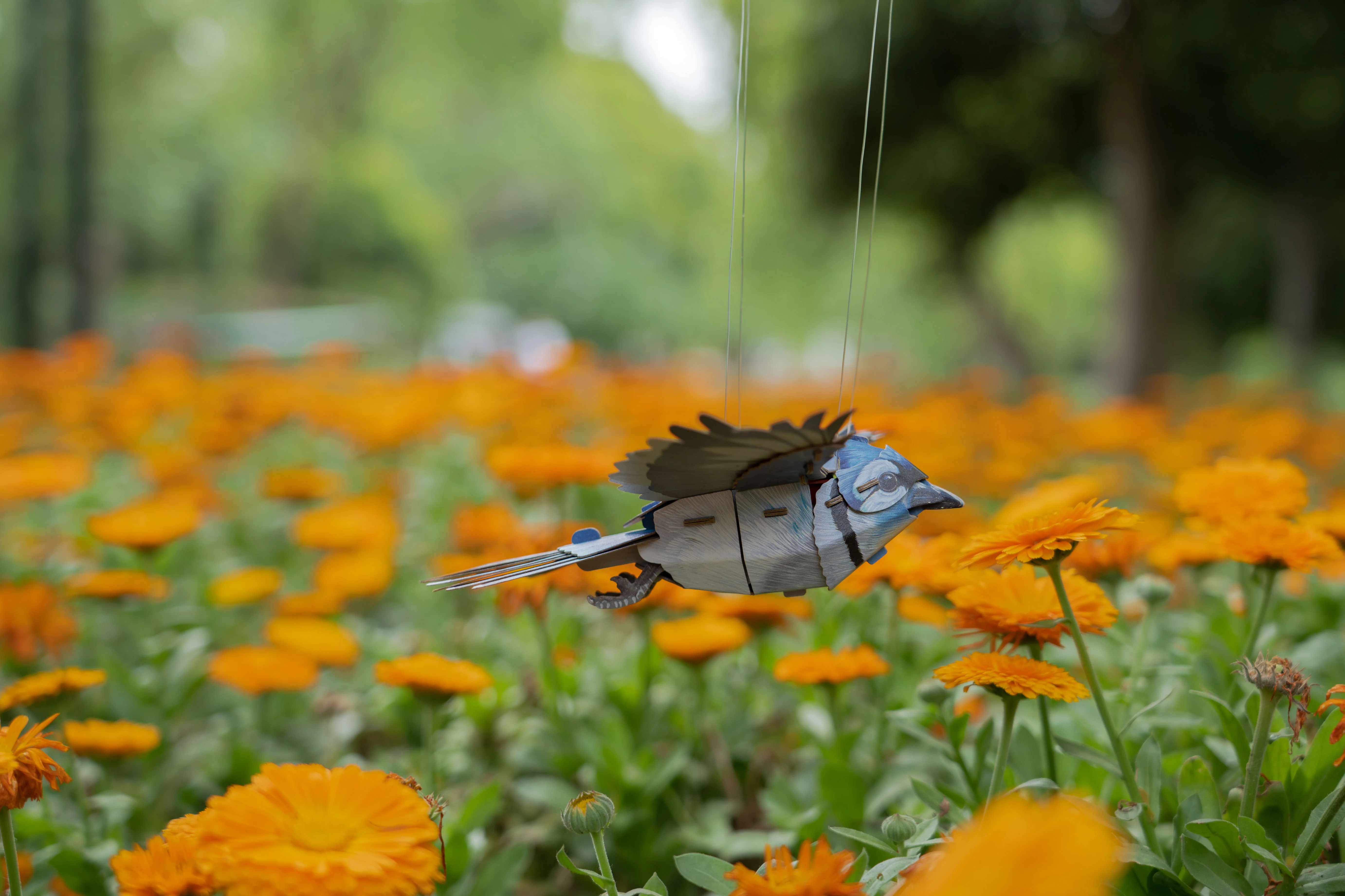 Blue Jay 3D Bird Puzzle - Image 8
