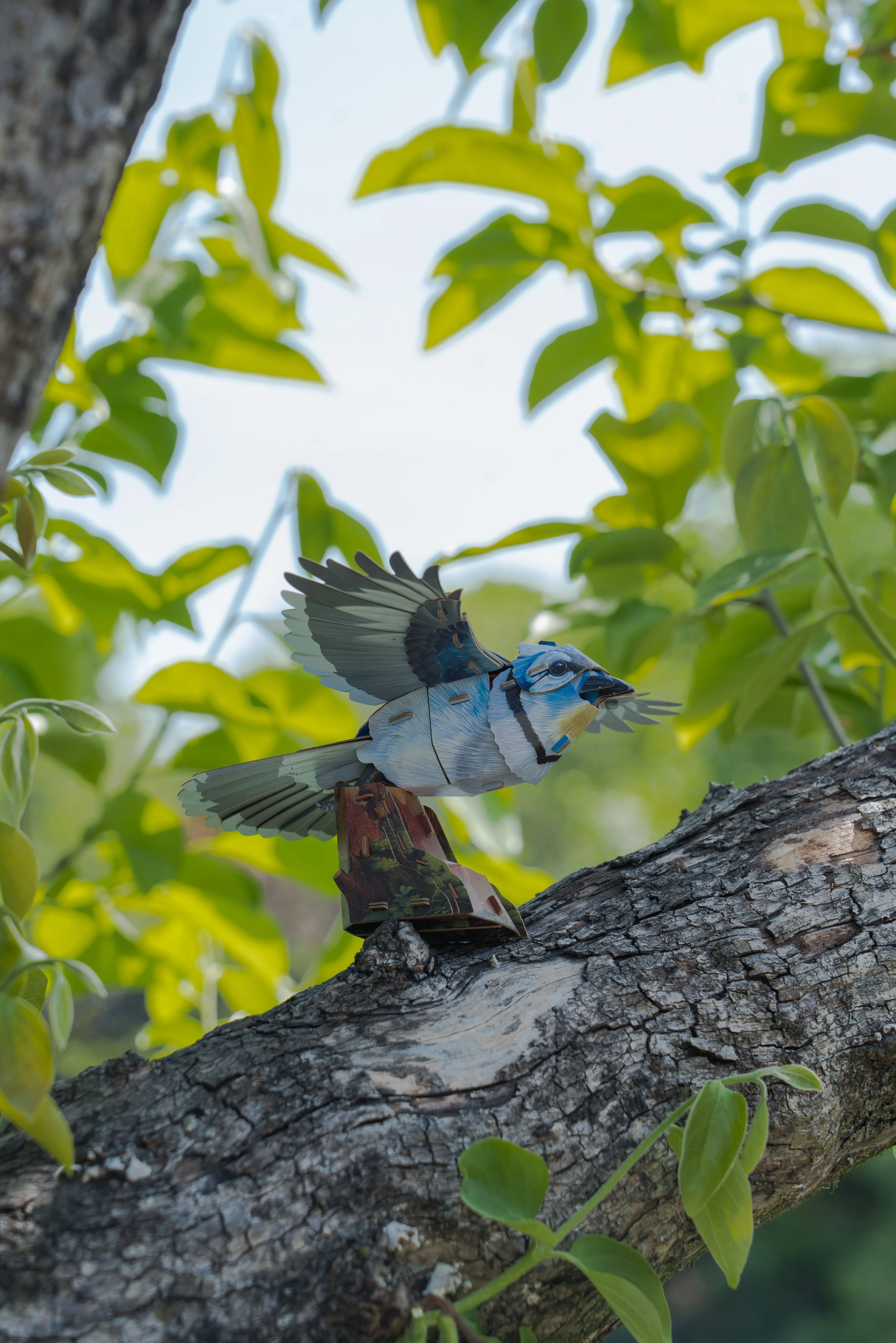 Blue Jay 3D Bird Puzzle - Image 9
