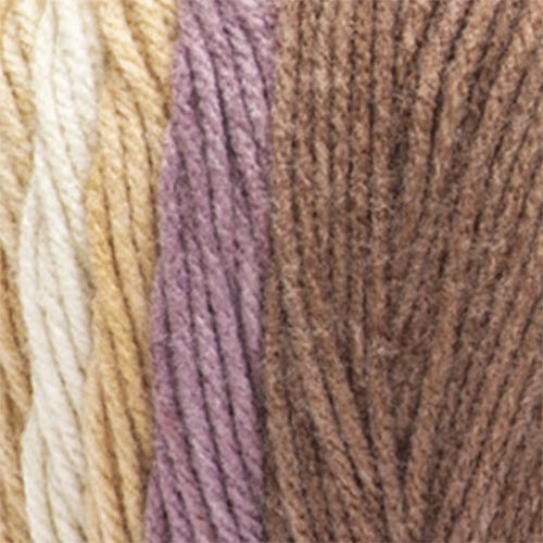 Caron Jumbo Ombre Yarn - Image 7