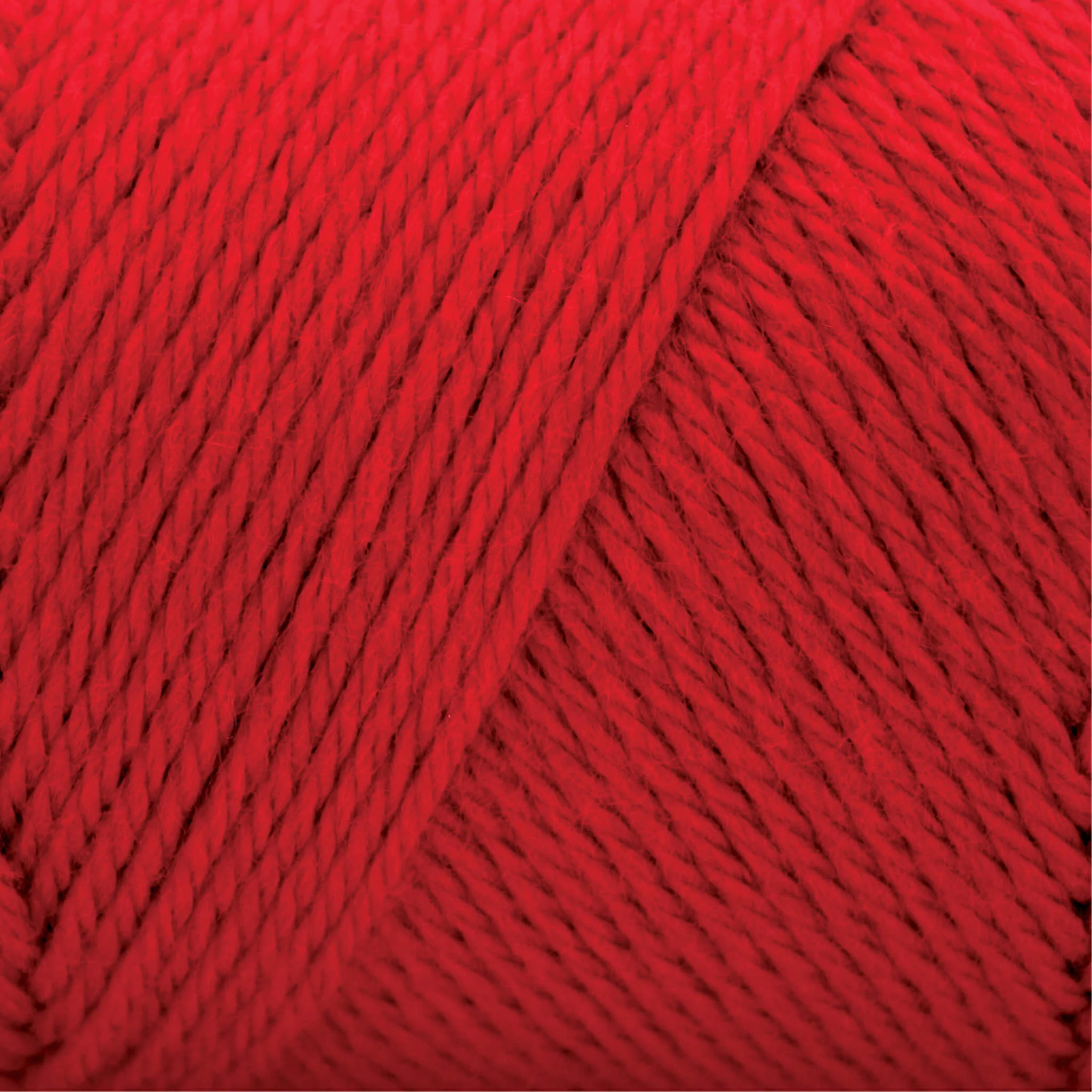 Caron Simply Soft Yarn - Image 101