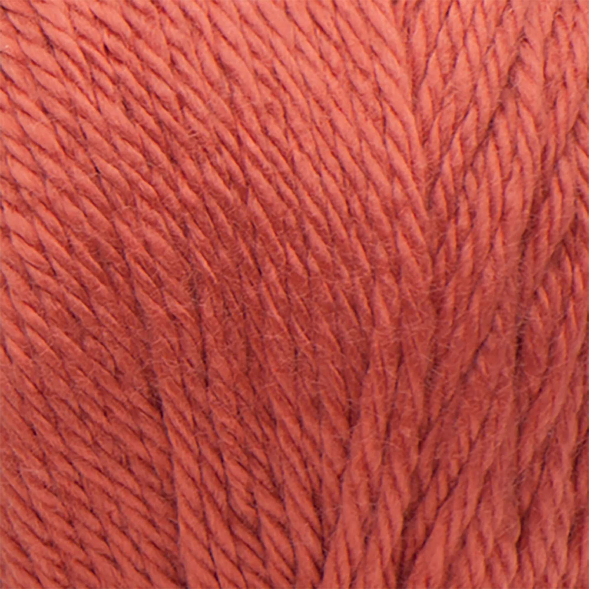 Caron Simply Soft Yarn - Image 103