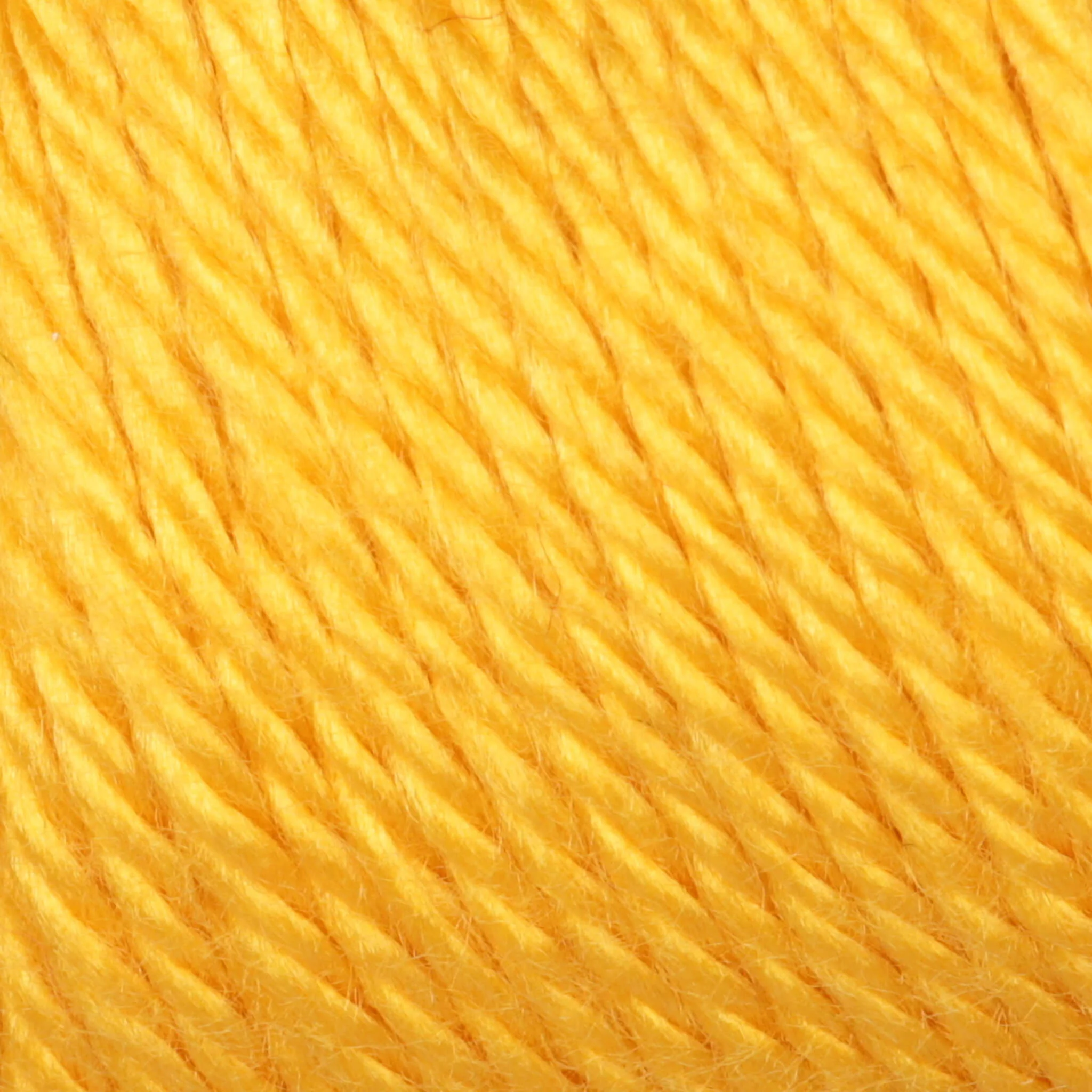 Caron Simply Soft Yarn - Image 106