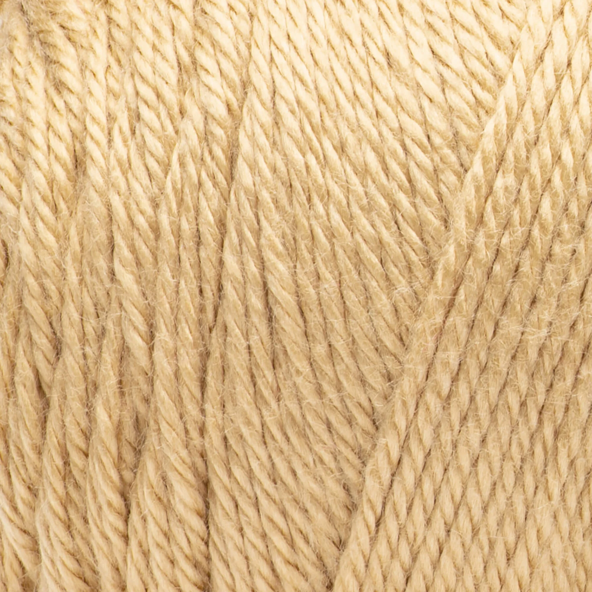 Caron Simply Soft Yarn - Image 108