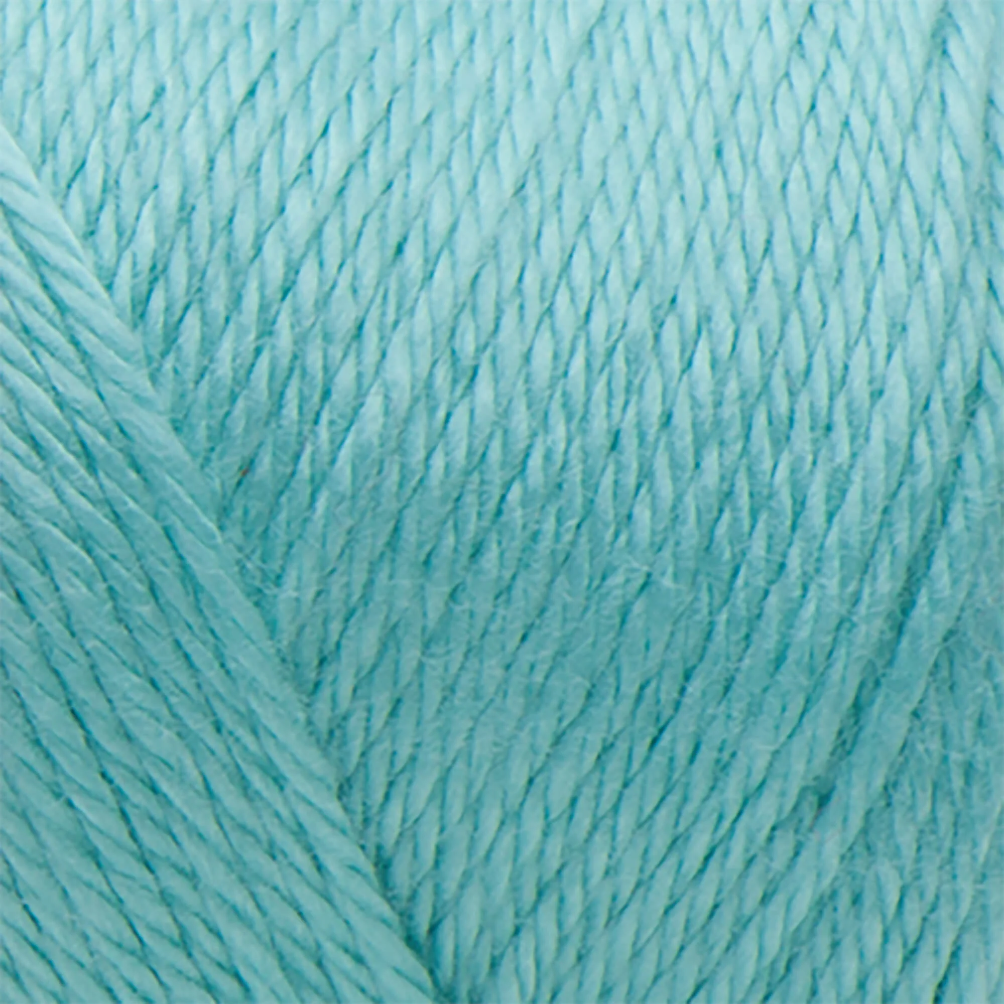 Caron Simply Soft Yarn - Image 113
