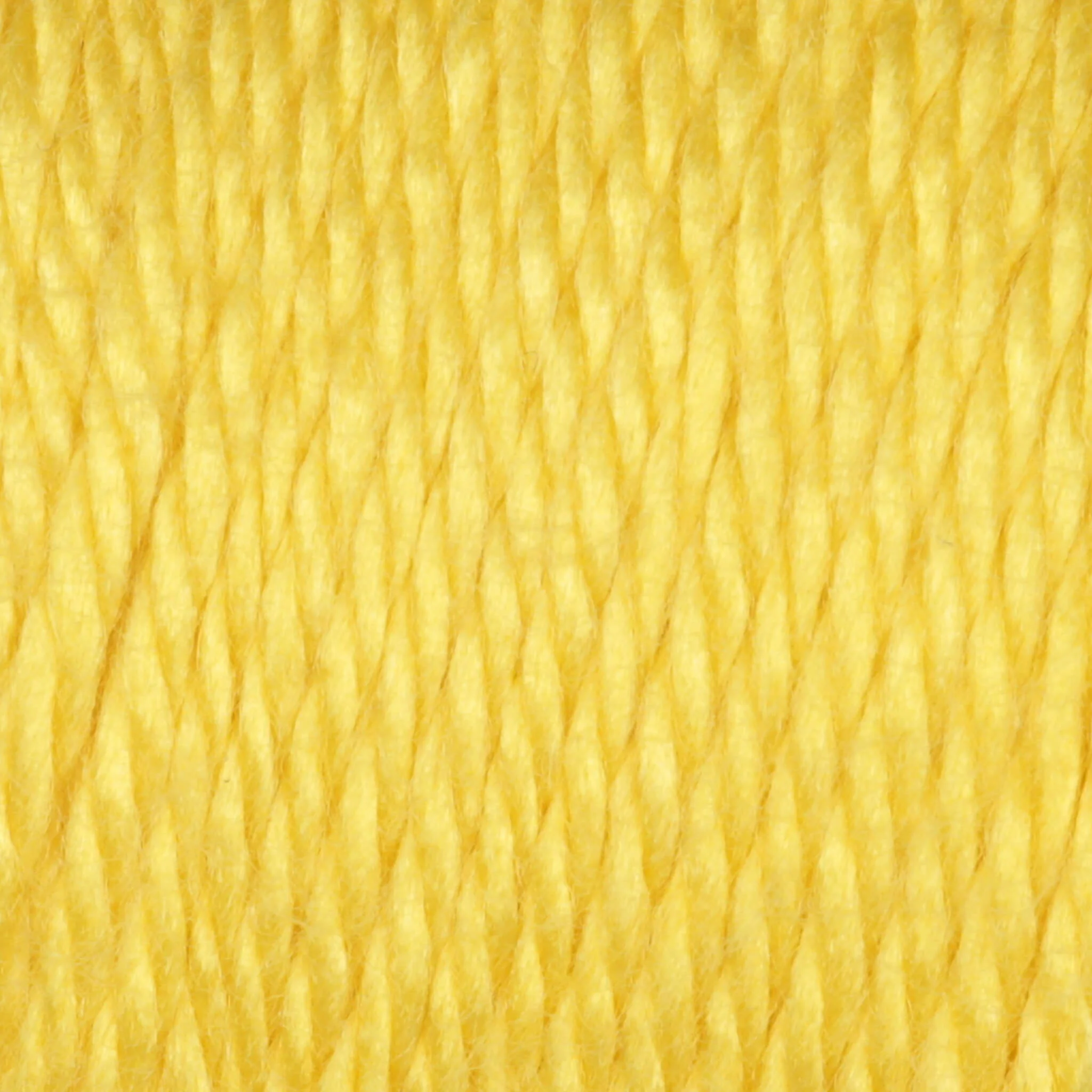 Caron Simply Soft Yarn - Image 120