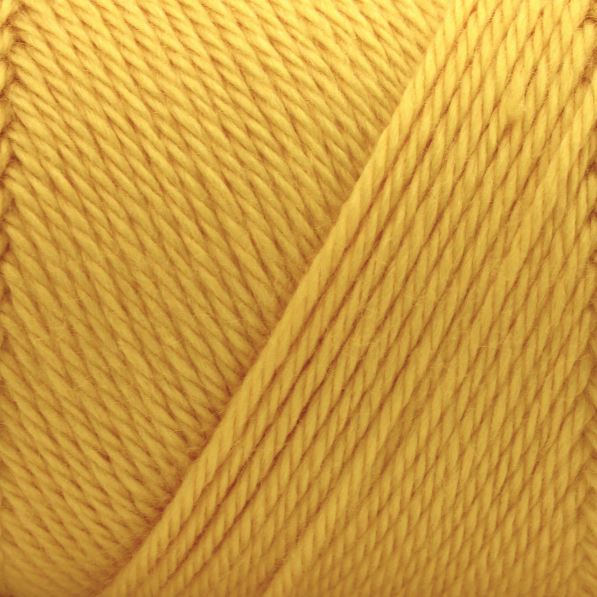 Caron Simply Soft Yarn - Image 132