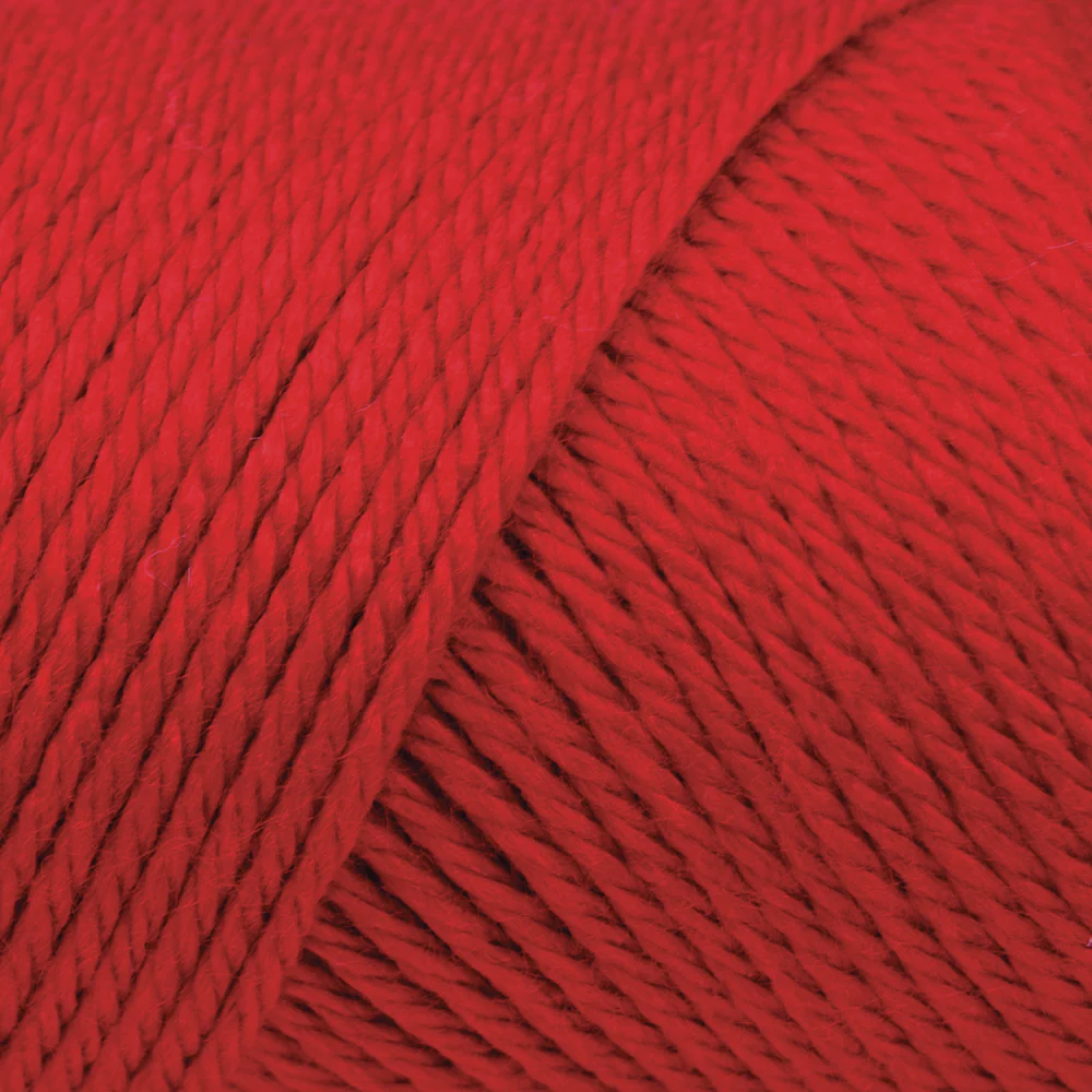 Caron Simply Soft Yarn - Image 17