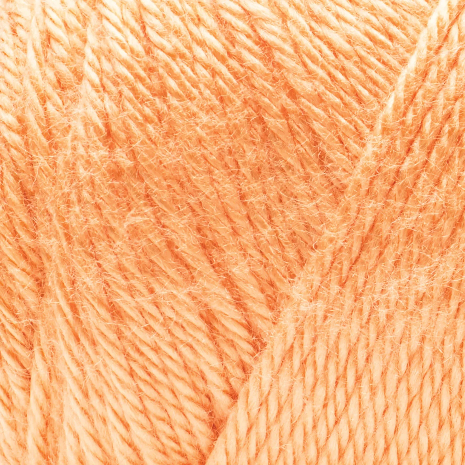 Caron Simply Soft Yarn - Image 214