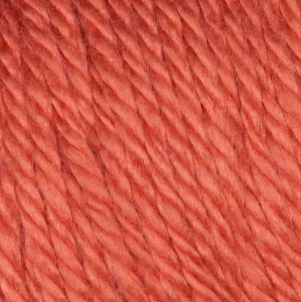 Caron Simply Soft Yarn - Image 23