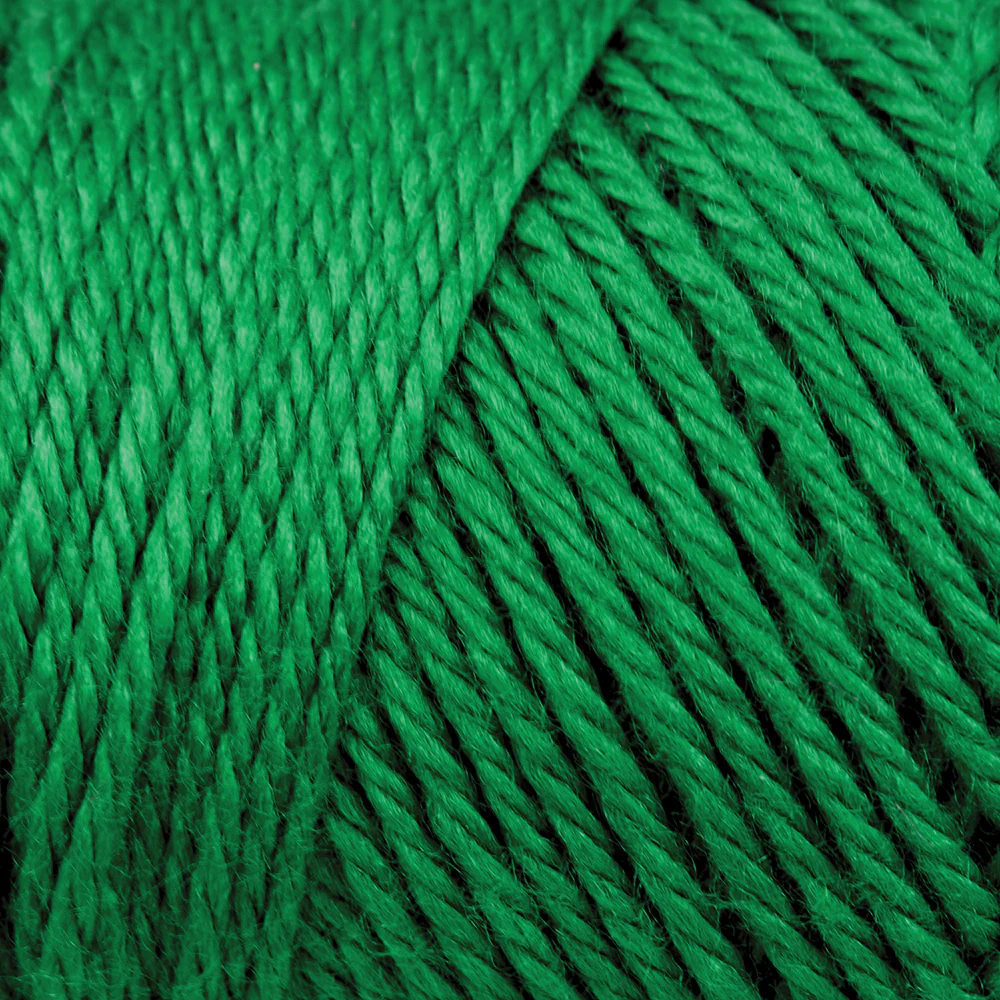 Caron Simply Soft Yarn - Image 4