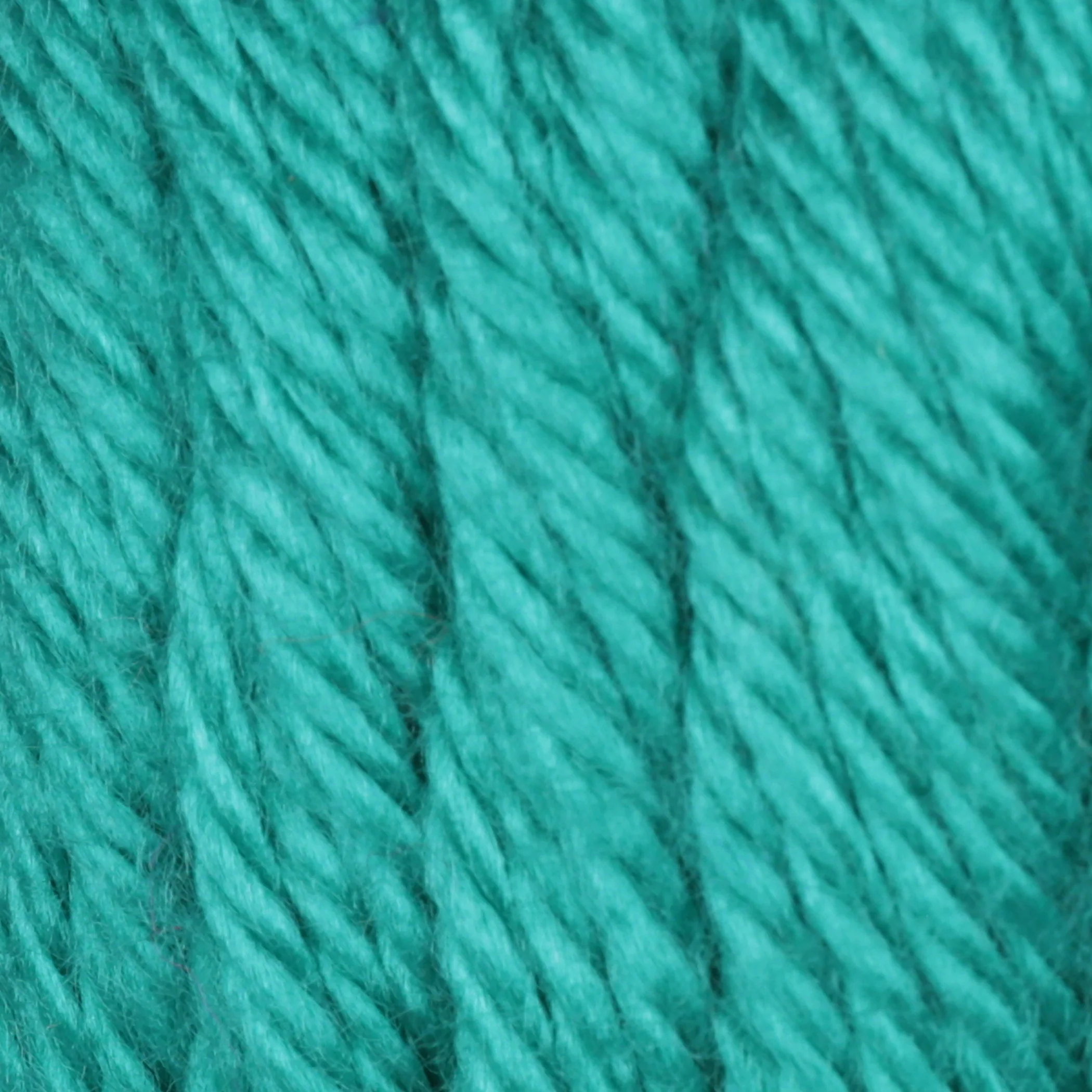 Caron Simply Soft Yarn - Image 41