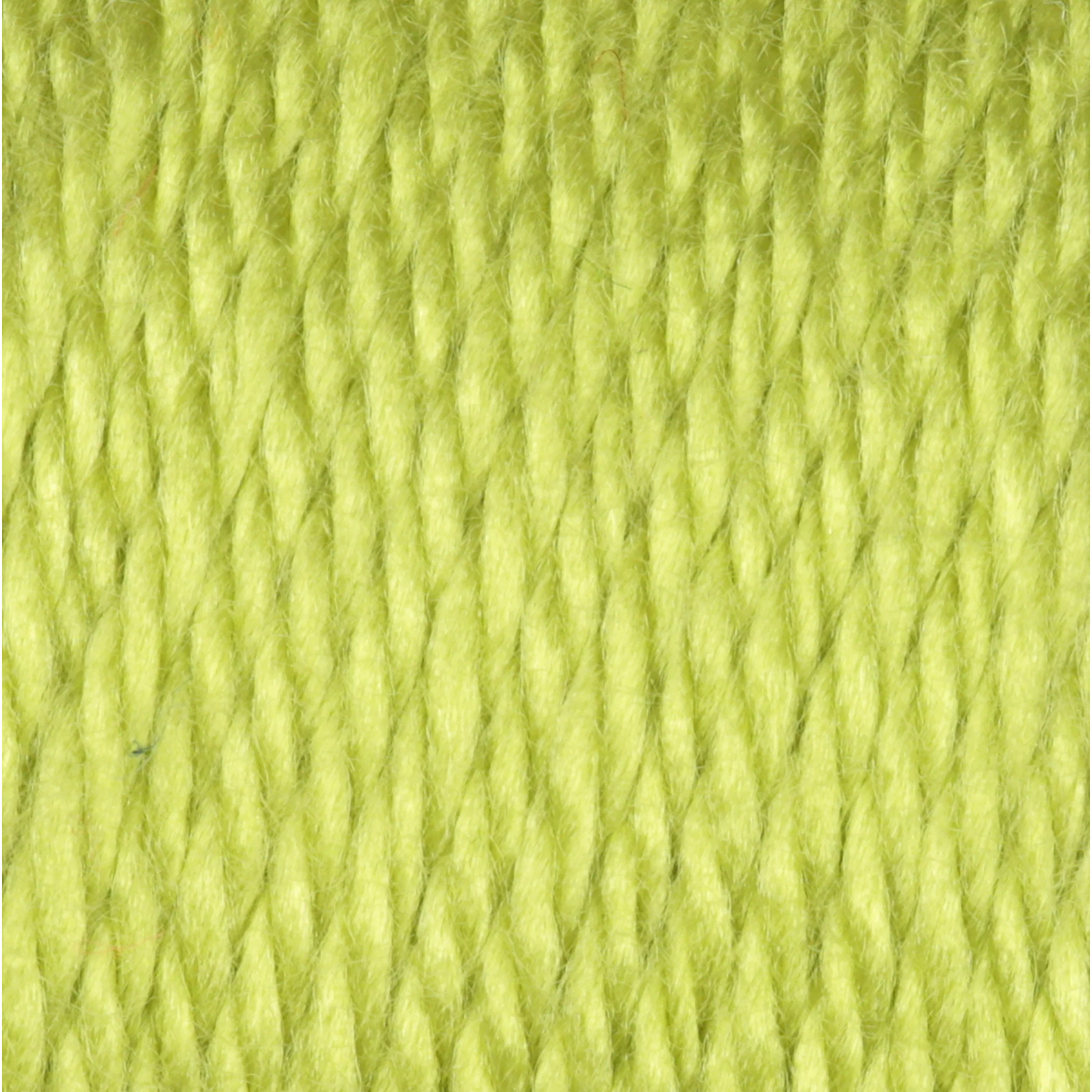 Caron Simply Soft Yarn - Image 44