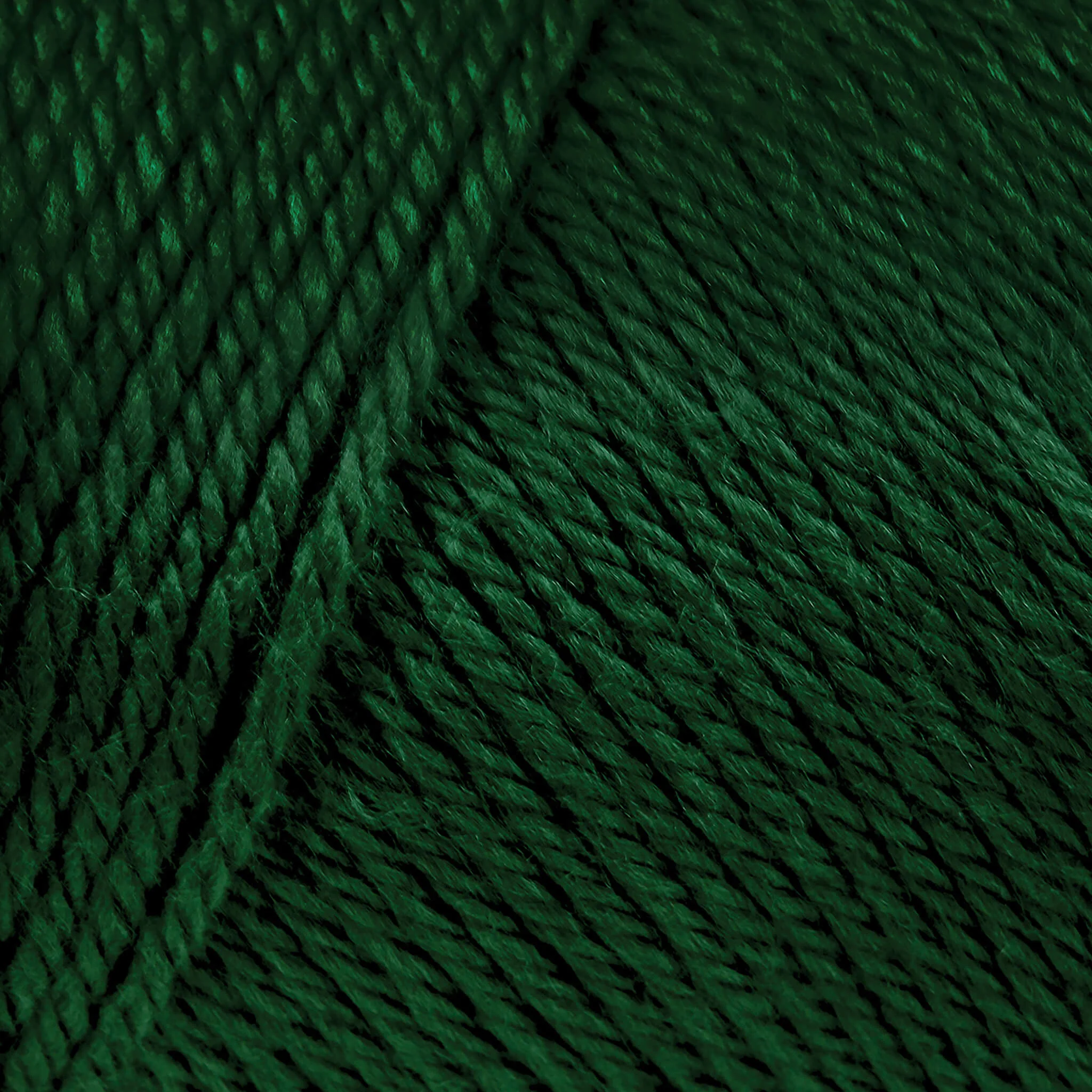 Caron Simply Soft Yarn - Image 49