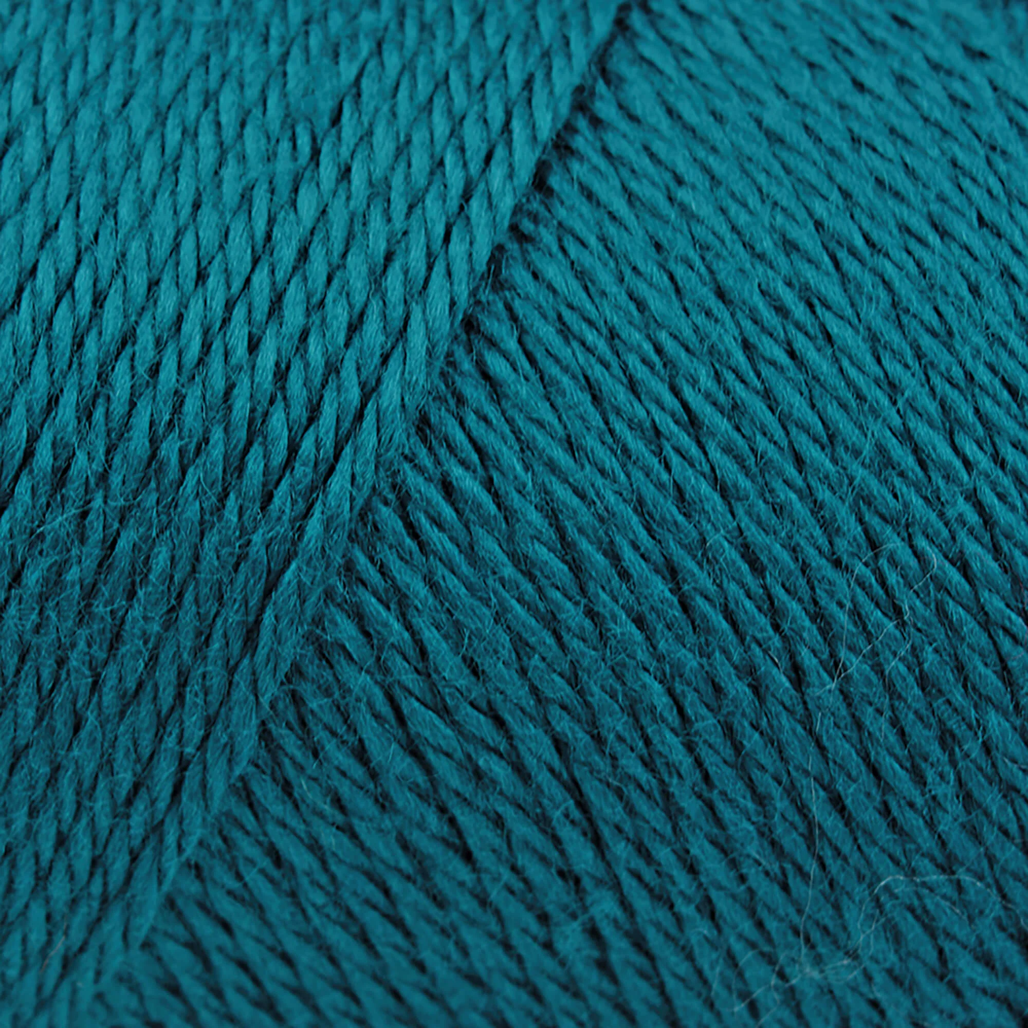 Caron Simply Soft Yarn - Image 51