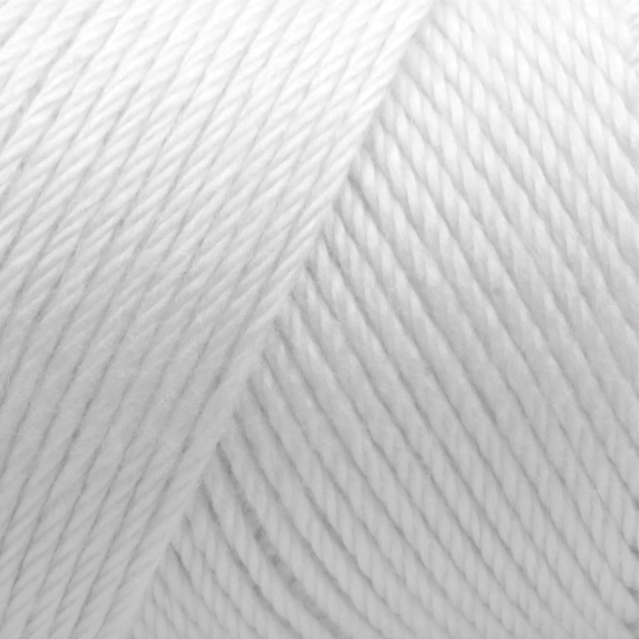 Caron Simply Soft Yarn - Image 52