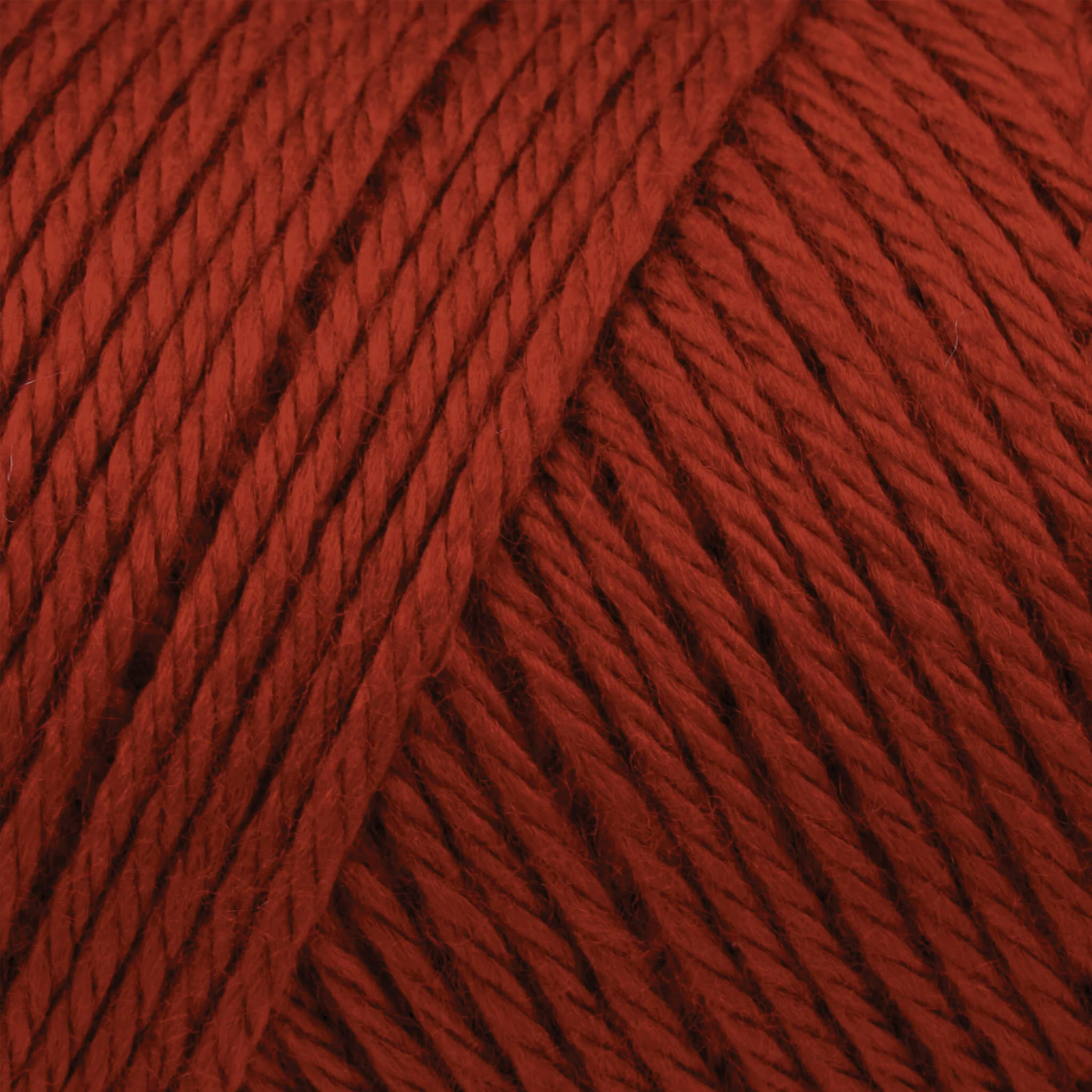 Caron Simply Soft Yarn - Image 61