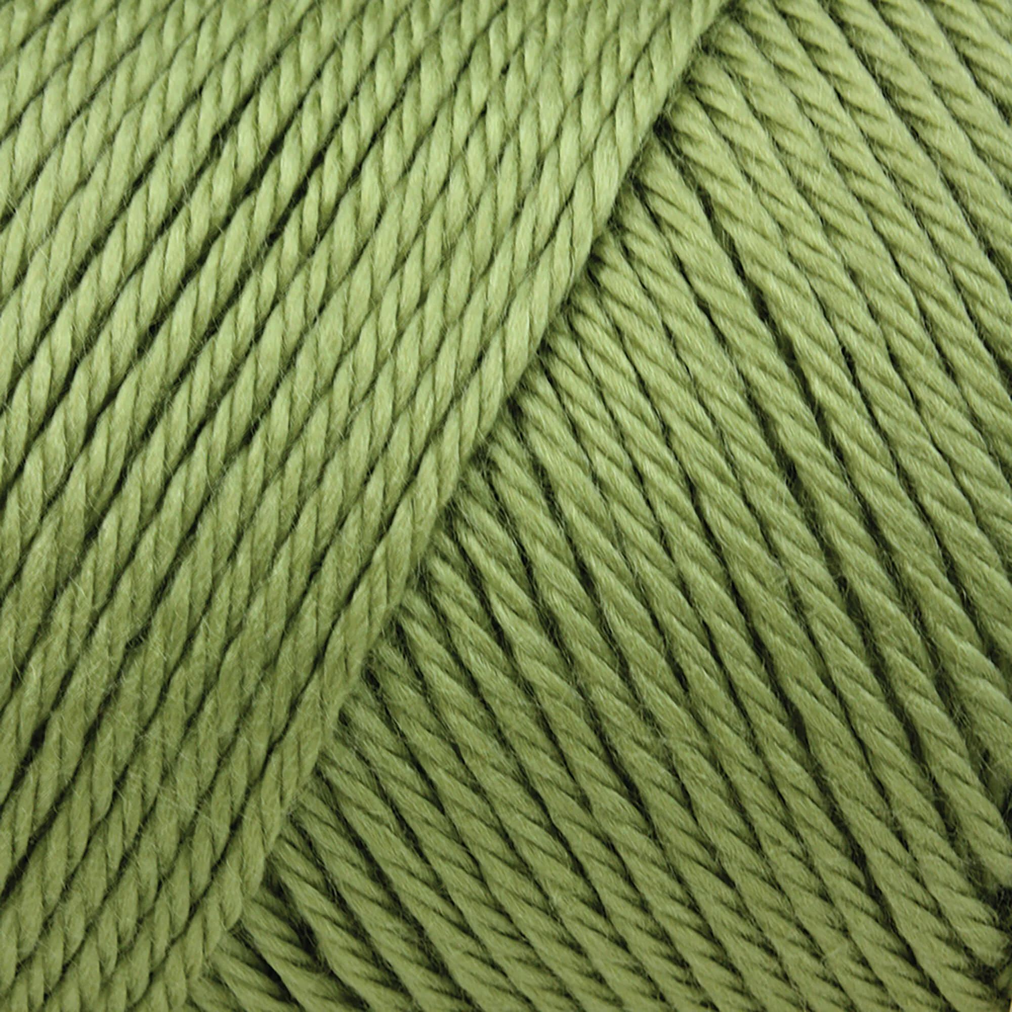 Caron Simply Soft Yarn - Image 63