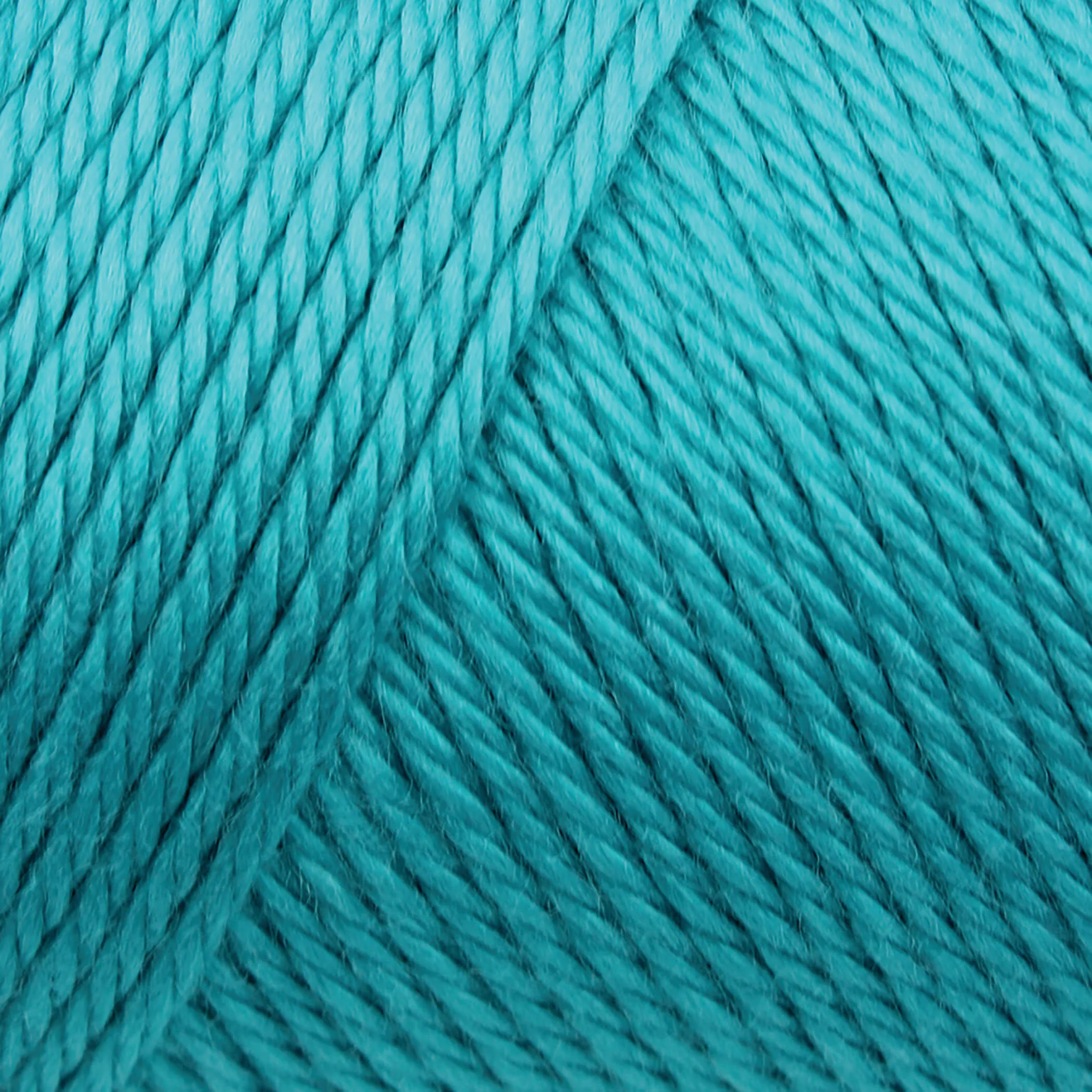 Caron Simply Soft Yarn - Image 79