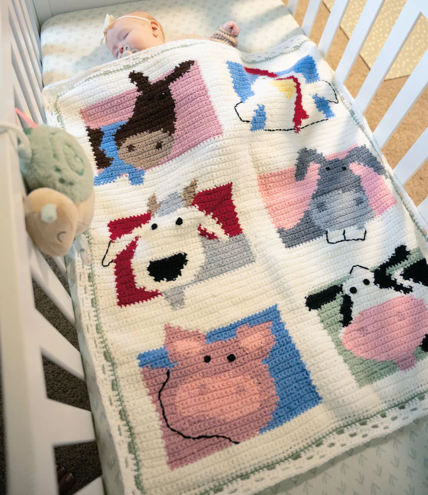 Farm Sweet Farm Baby Crochet Blanket - Image 9
