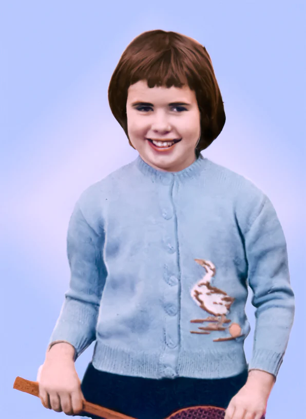 Goose & Golden Egg Cardigan Pattern - Image 2