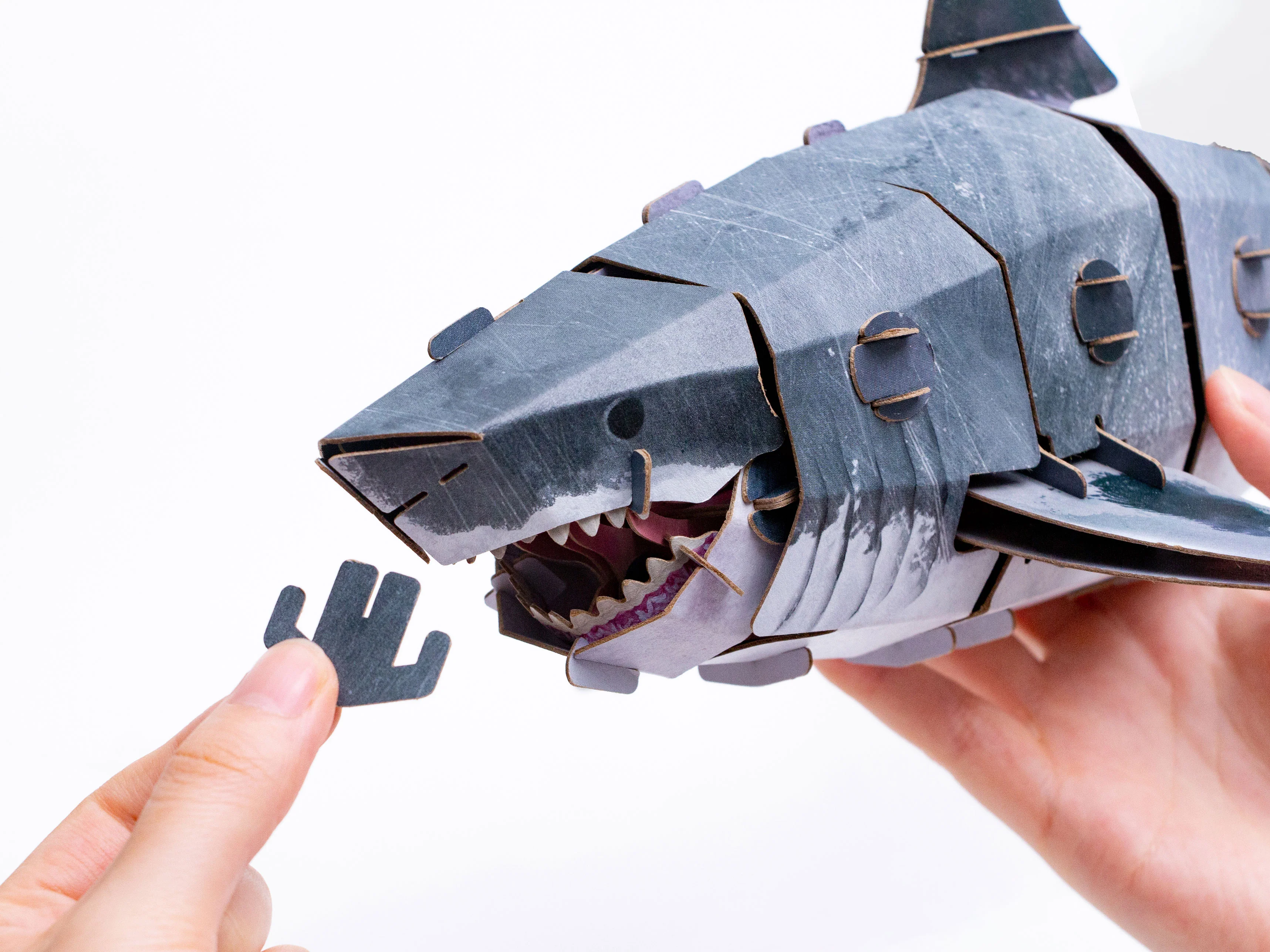 Great White Shark 3D DIY Puzzle - Image 2