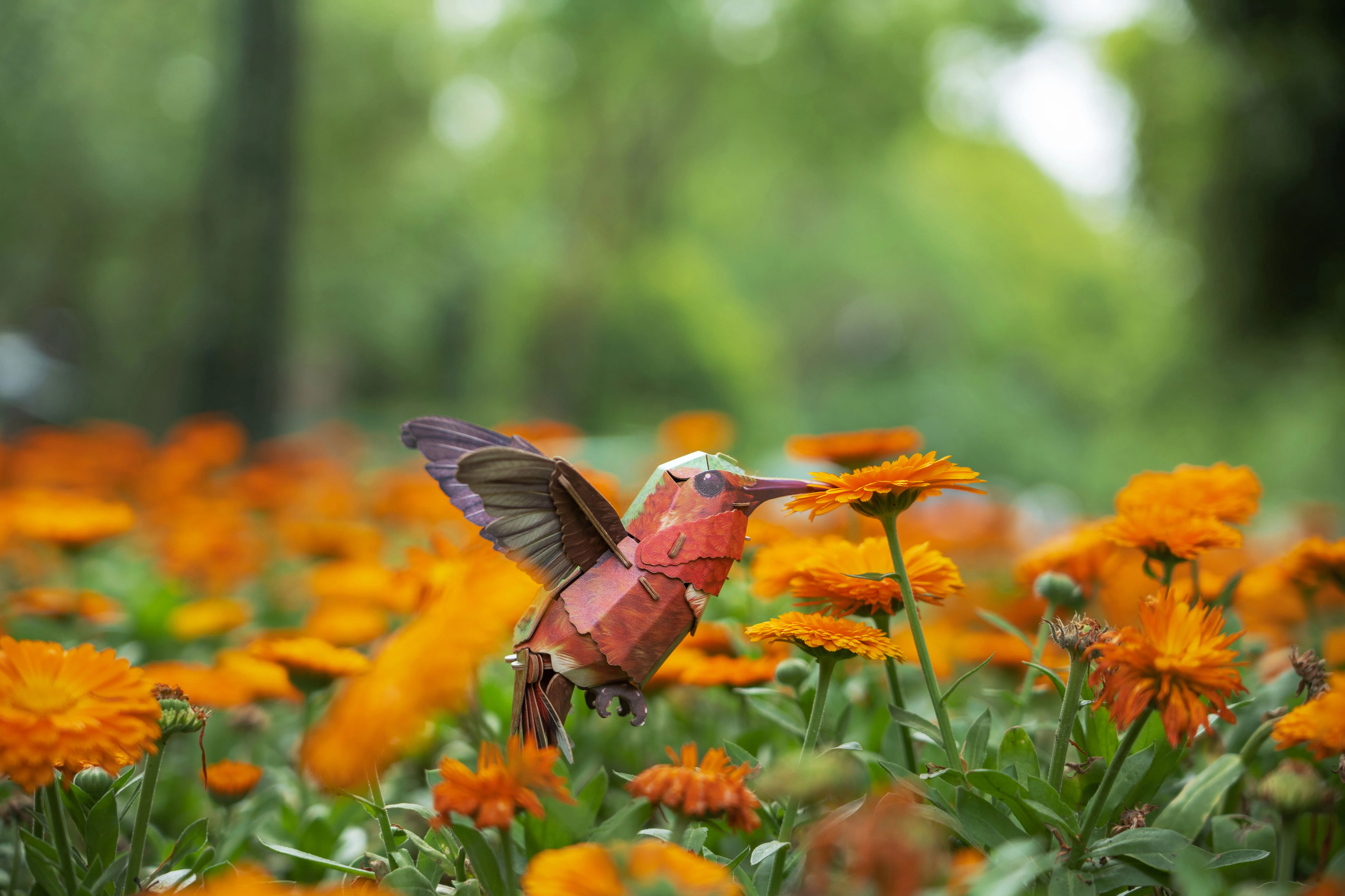 Hummingbird 3D Bird Puzzle - Image 13