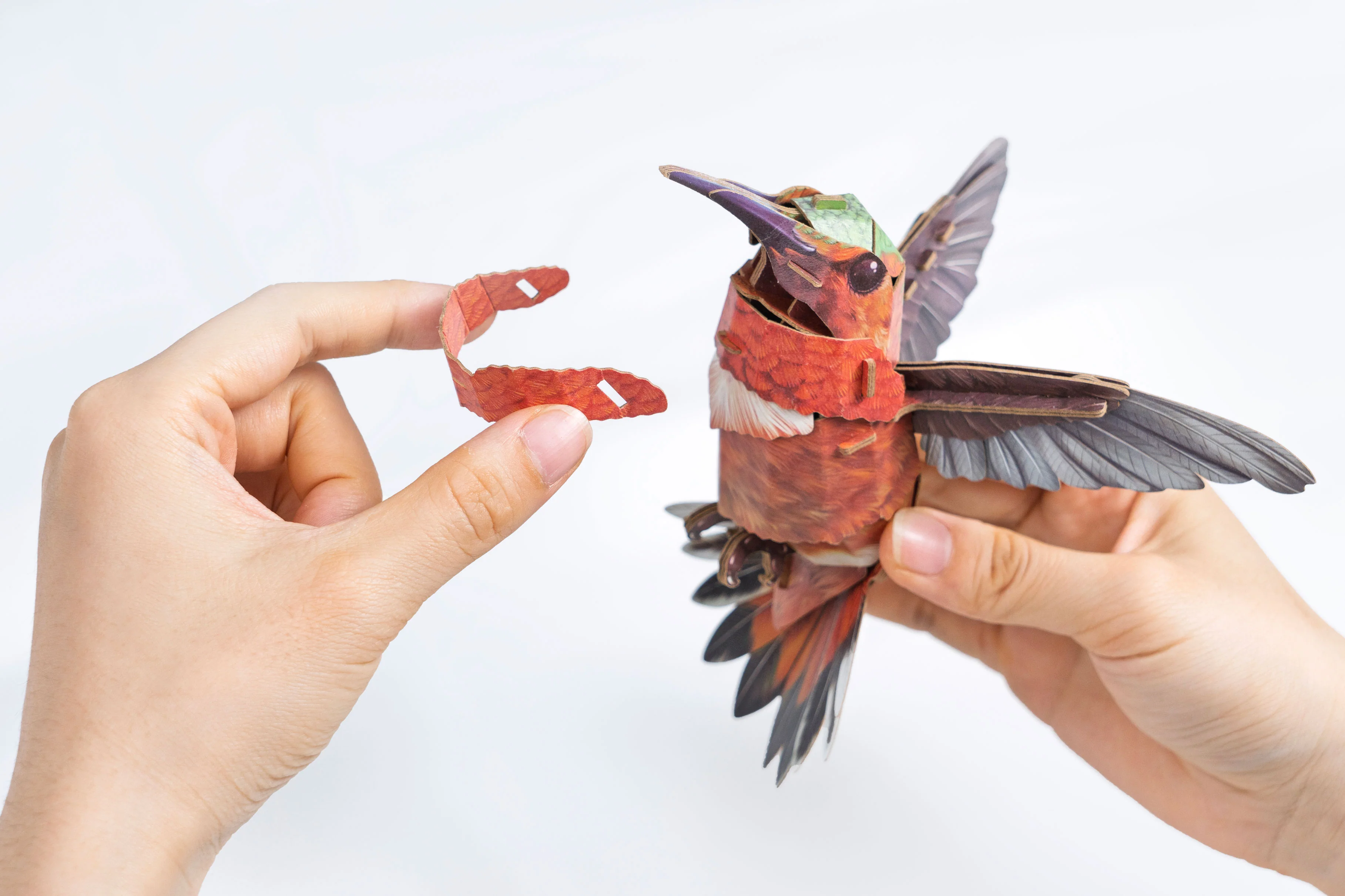 Hummingbird 3D Bird Puzzle - Image 3