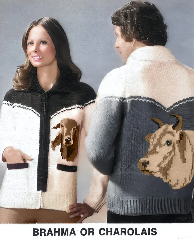 Men's or Ladies' Brahma or Charolais Cardigan Pattern