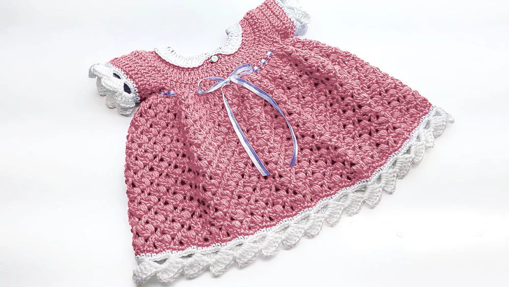 Lil Blueberry Muffin Baby Dress - Image 2