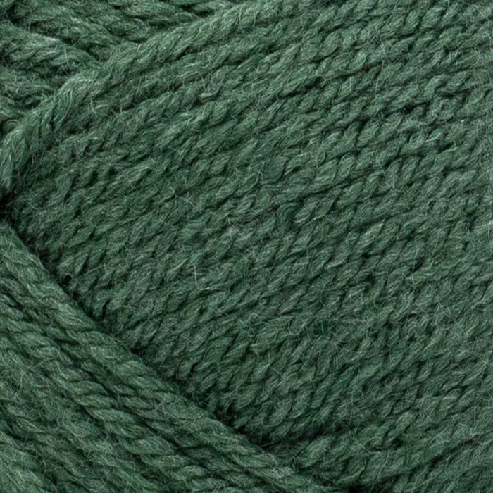 Lion Brand Basic Stitch Anti-Pilling Yarn - Image 31