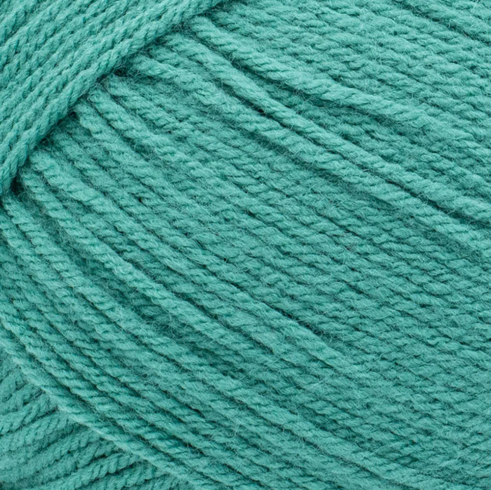 Lion Brand Pound of Love Yarn - Image 26