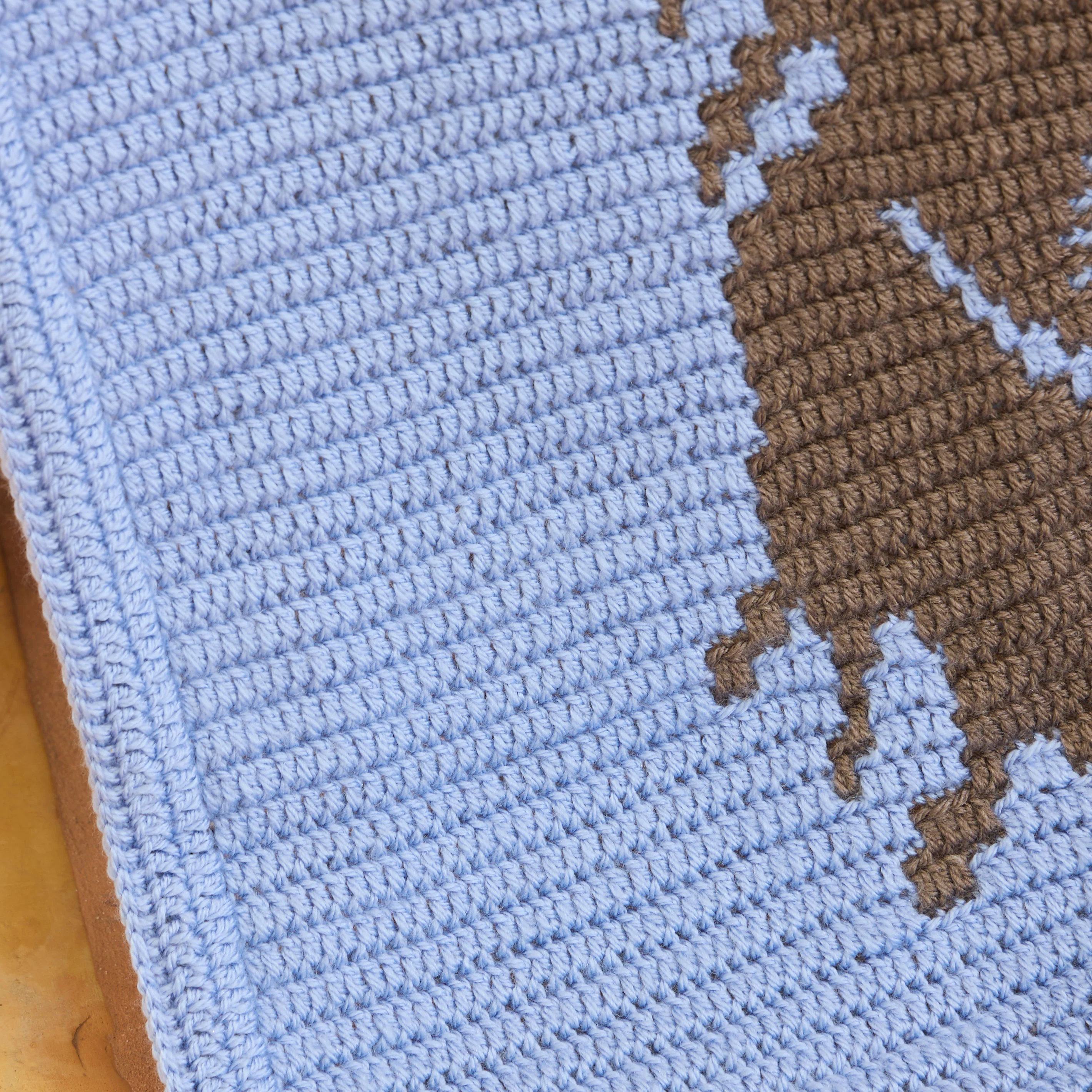 Little Highland Wonder Crochet Baby Blanket - Image 11