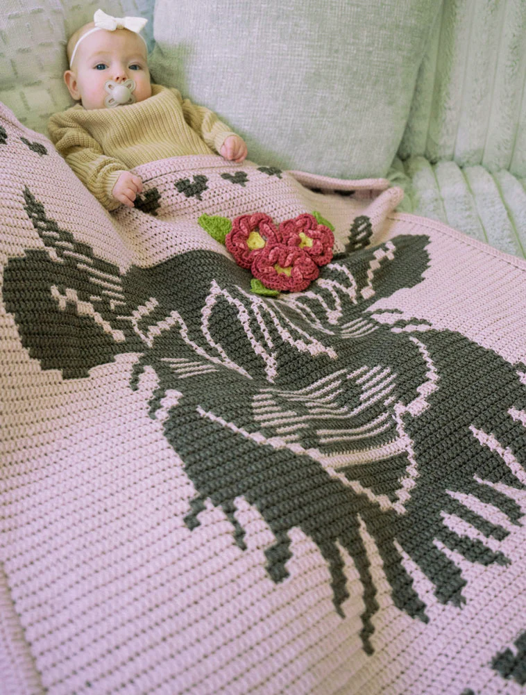 Little Highland Wonder Crochet Baby Blanket - Image 7