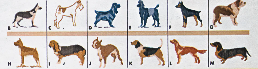 Man's Best Friend Cardigan Pattern - Image 3