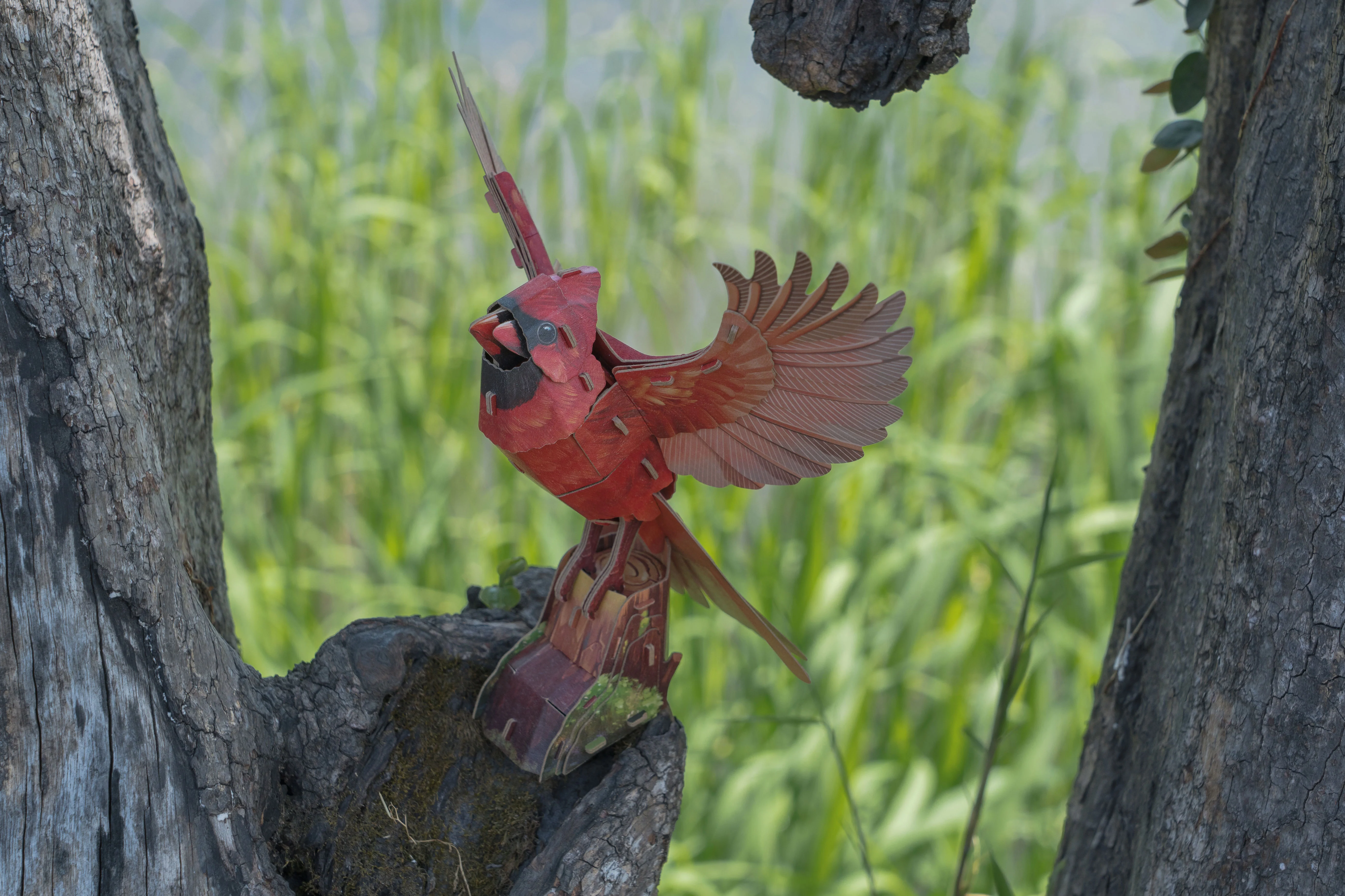 North American Cardinal 3D Bird Puzzle - Image 10