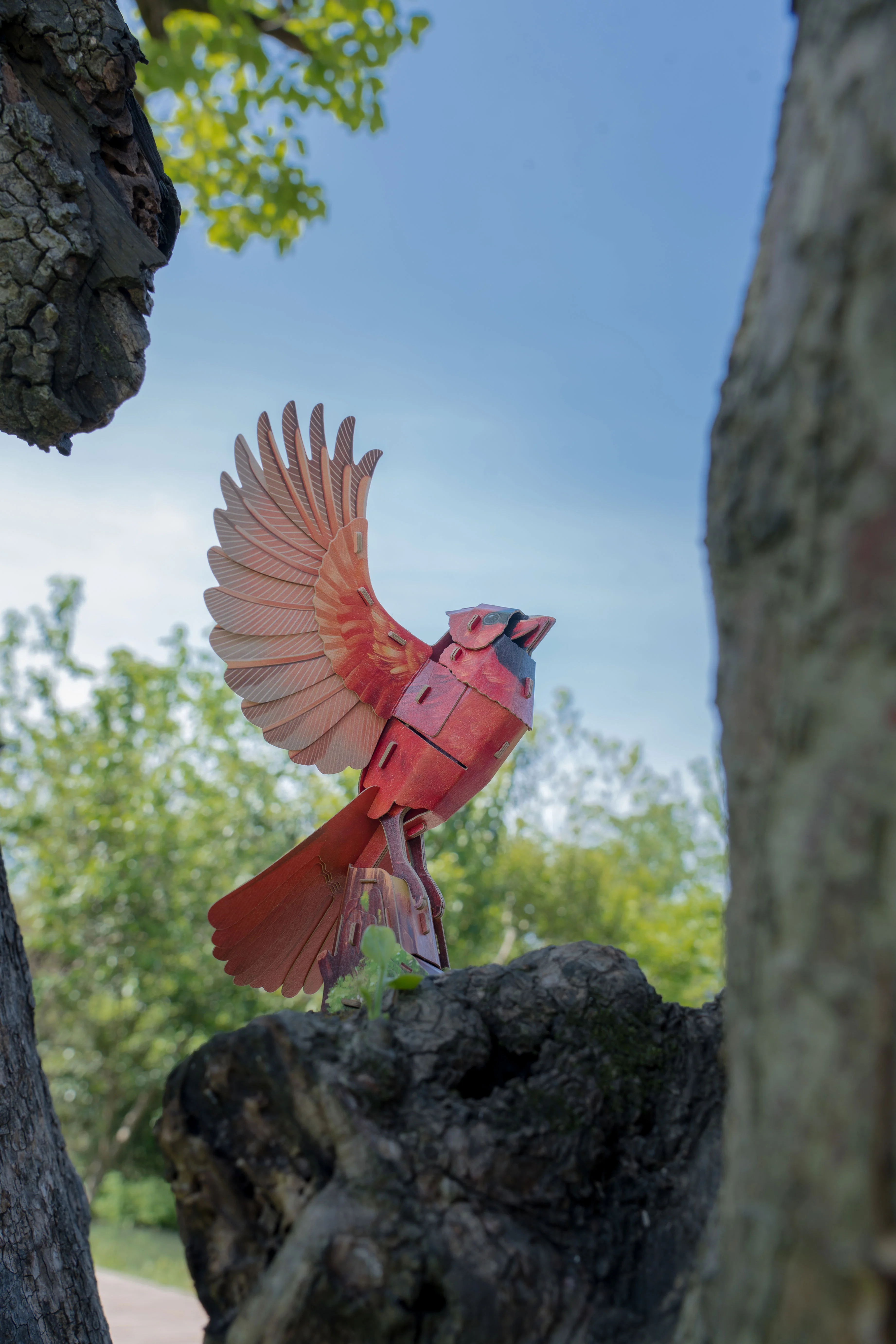 North American Cardinal 3D Bird Puzzle - Image 9