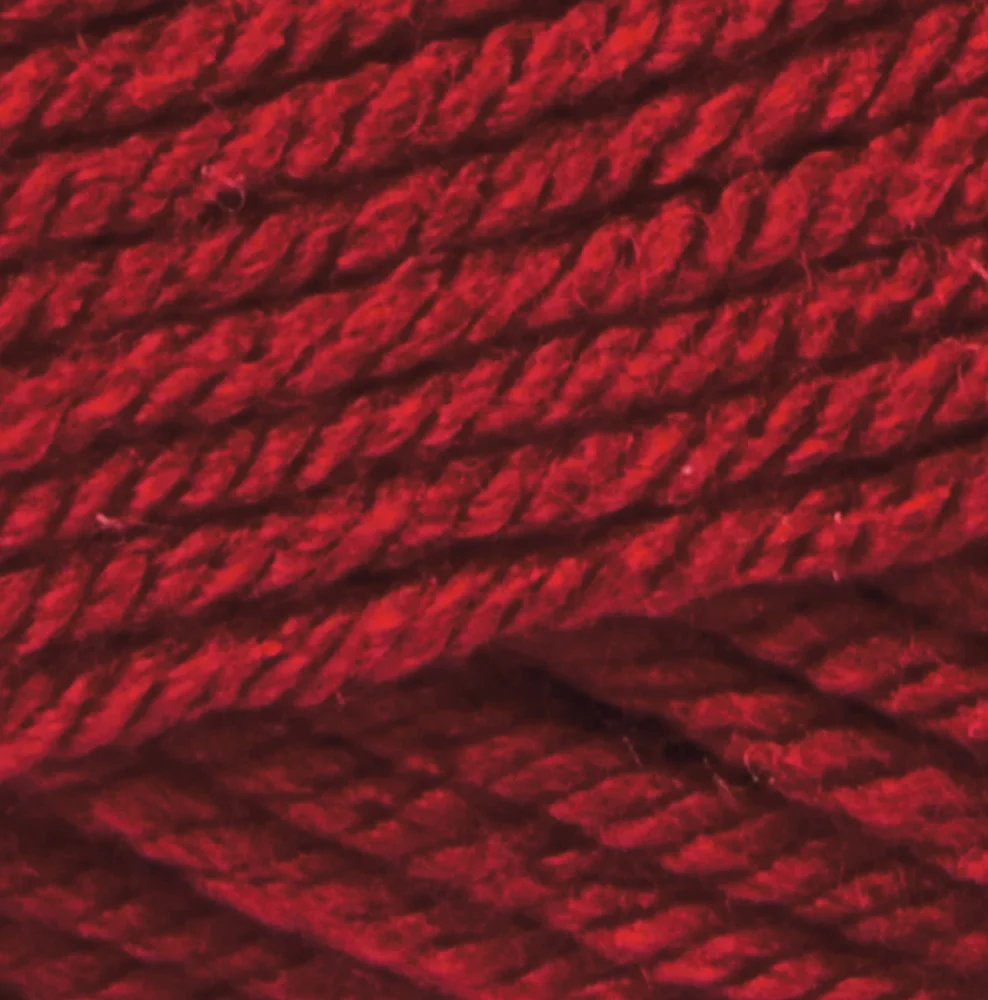 Premier Basix Worsted Yarn - Image 18